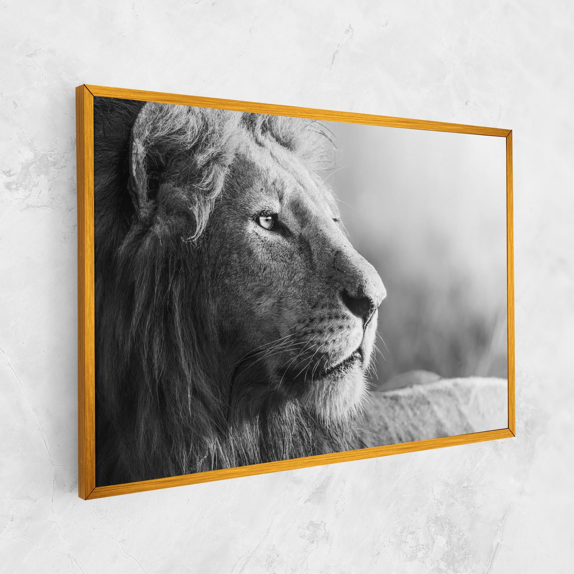Tablou Canvas Grey Lion Head mockup 1