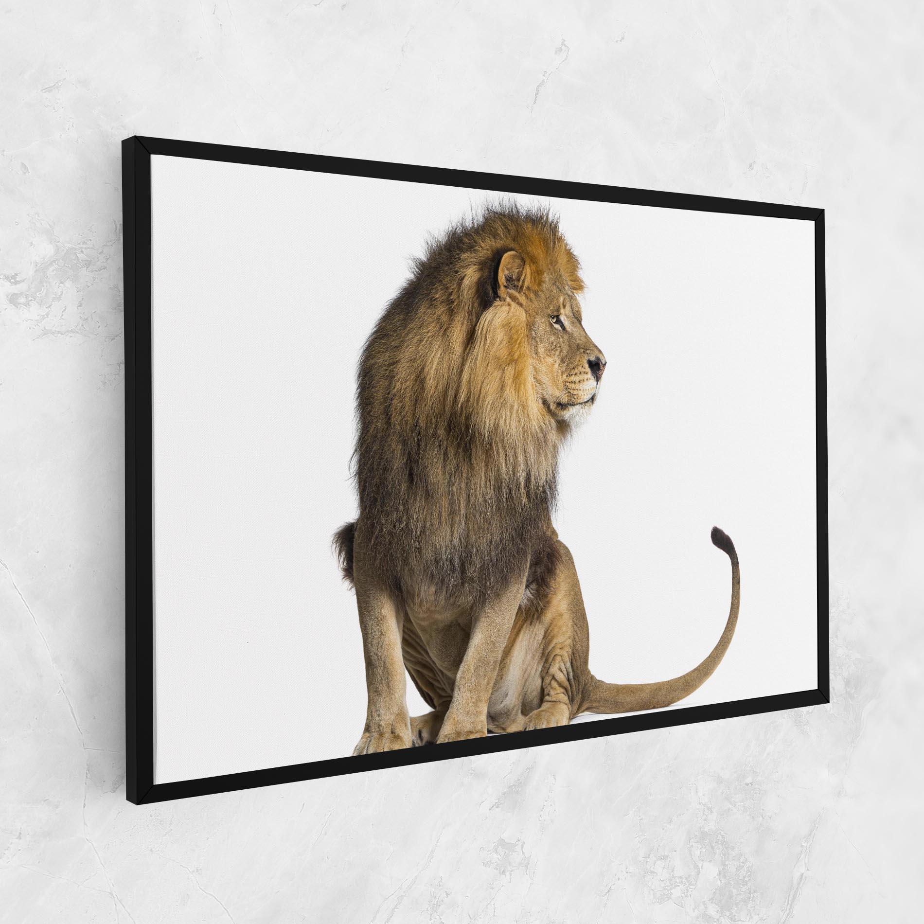 Tablou Canvas Big Lion mockup 1
