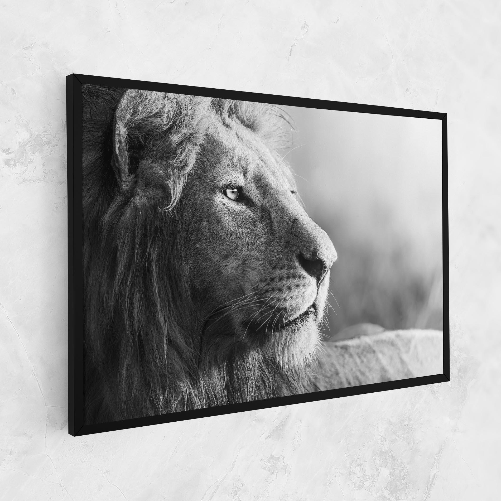 Tablou Canvas Grey Lion Head mockup 1
