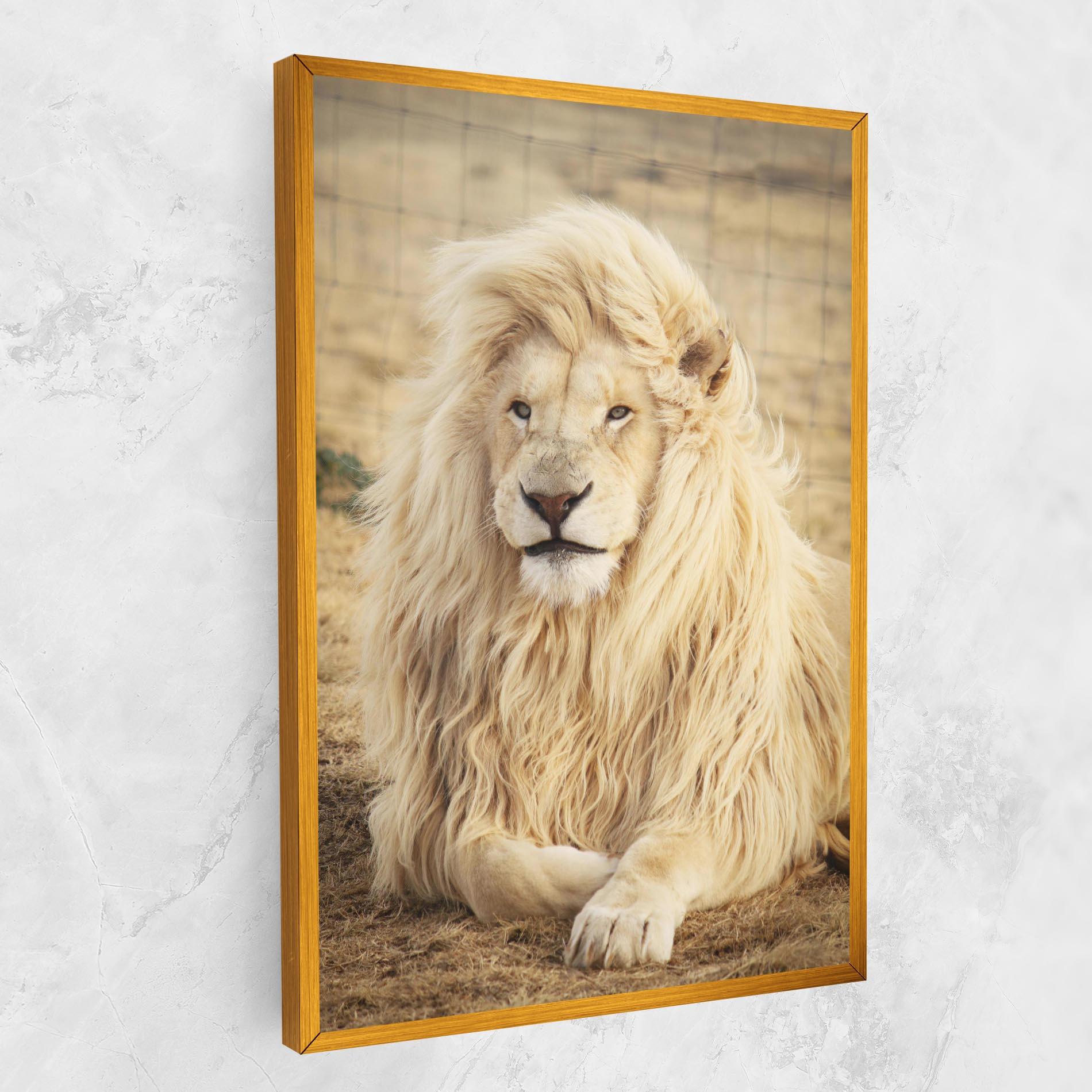 Tablou Canvas White Lion mockup 1