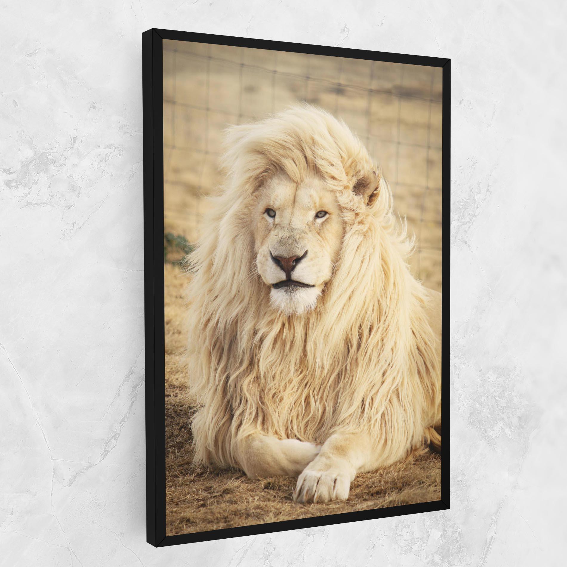 Tablou Canvas White Lion mockup 1