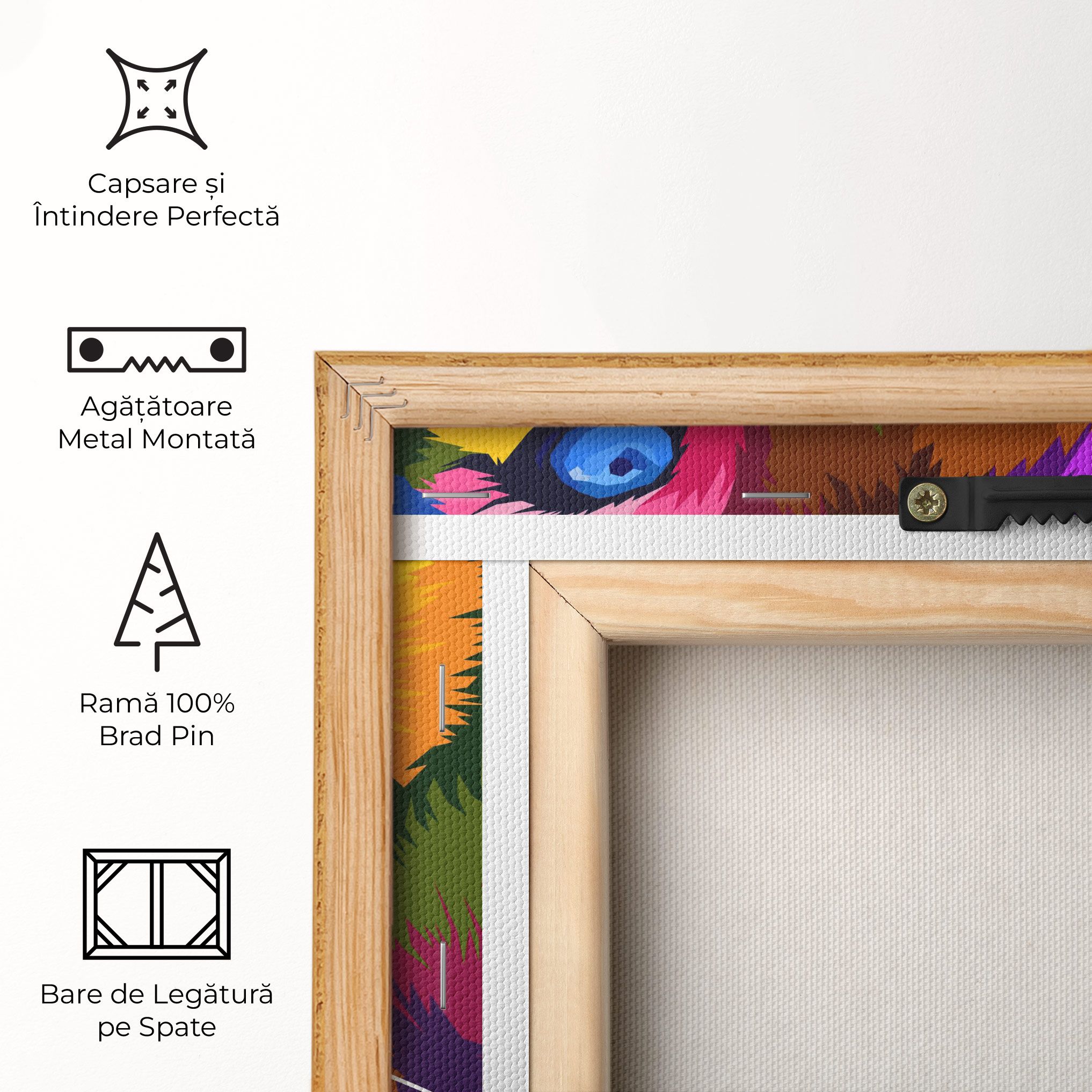 Color Lion Close Up mockup 5