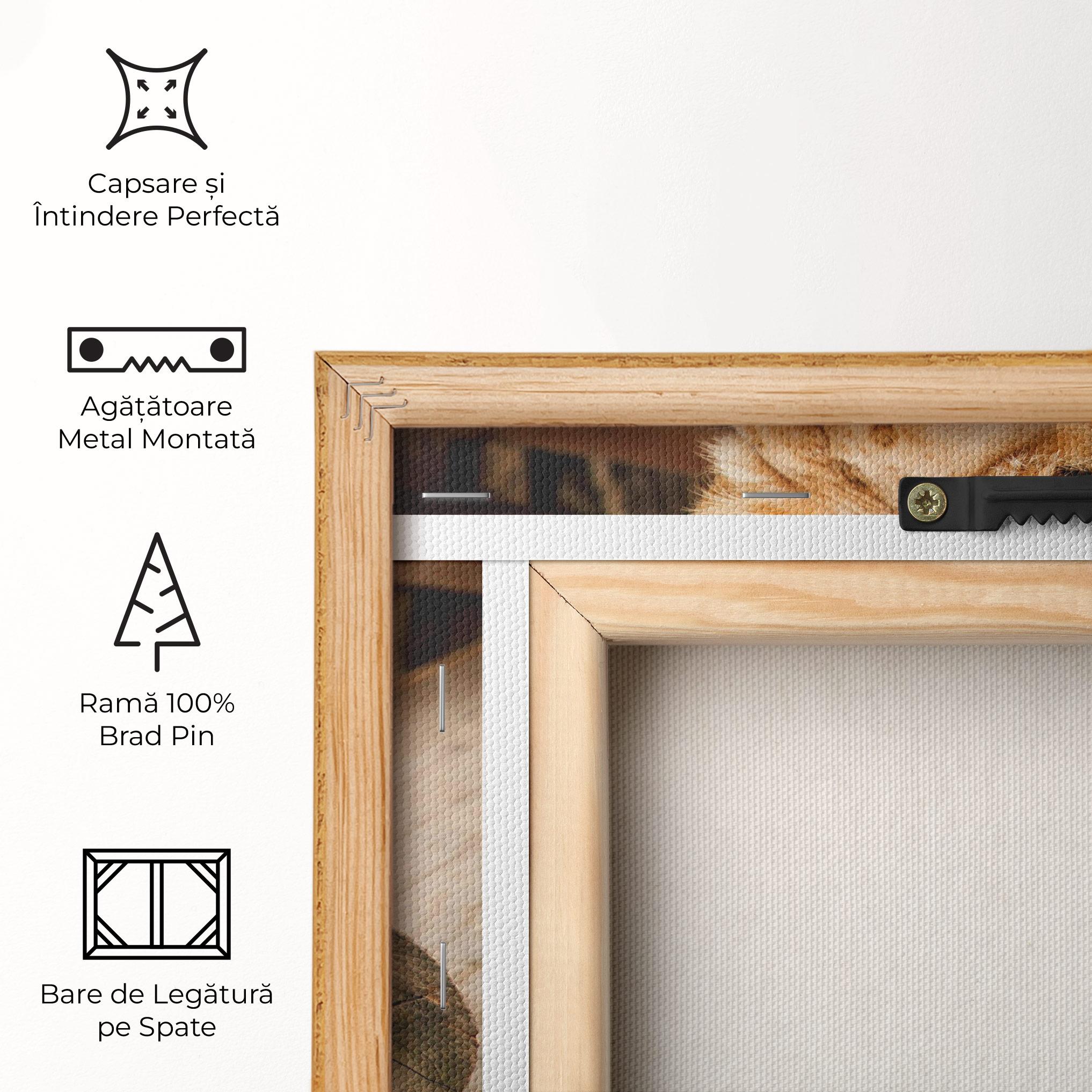 Tablou Canvas Female Lion Sitting mockup 5