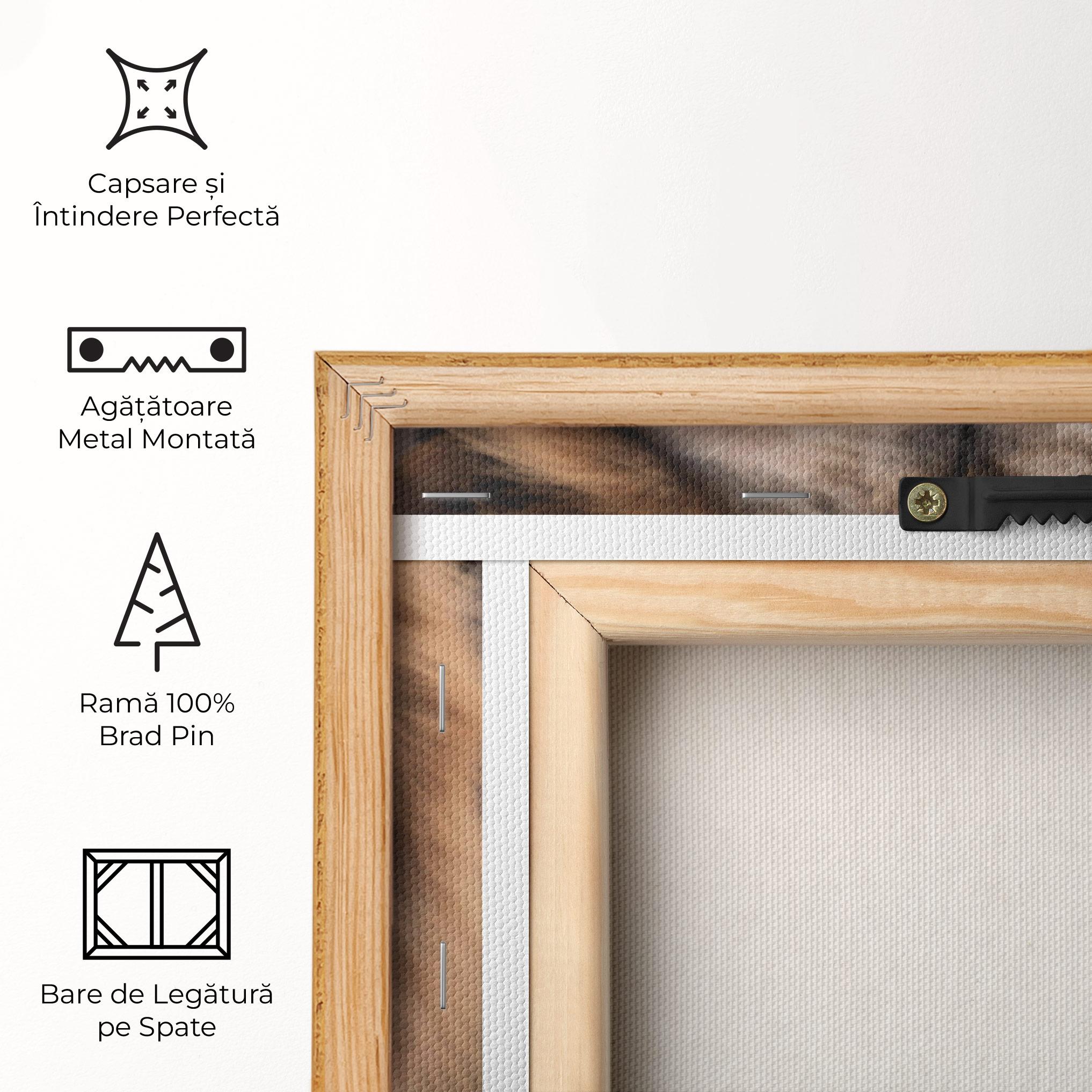 Tablou Canvas Wild Lion View mockup 5