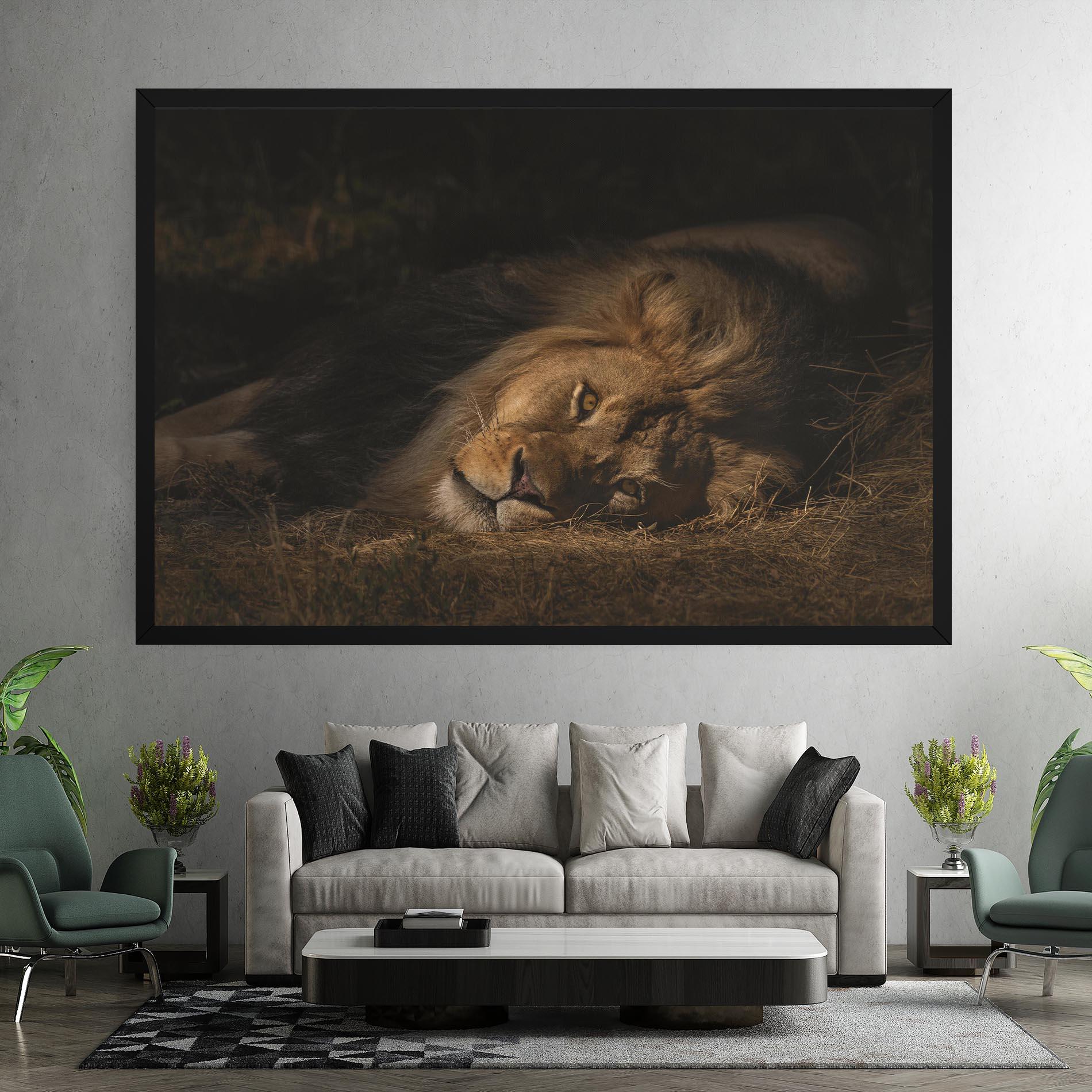 Tablou Canvas Lion Laying Down mockup 7