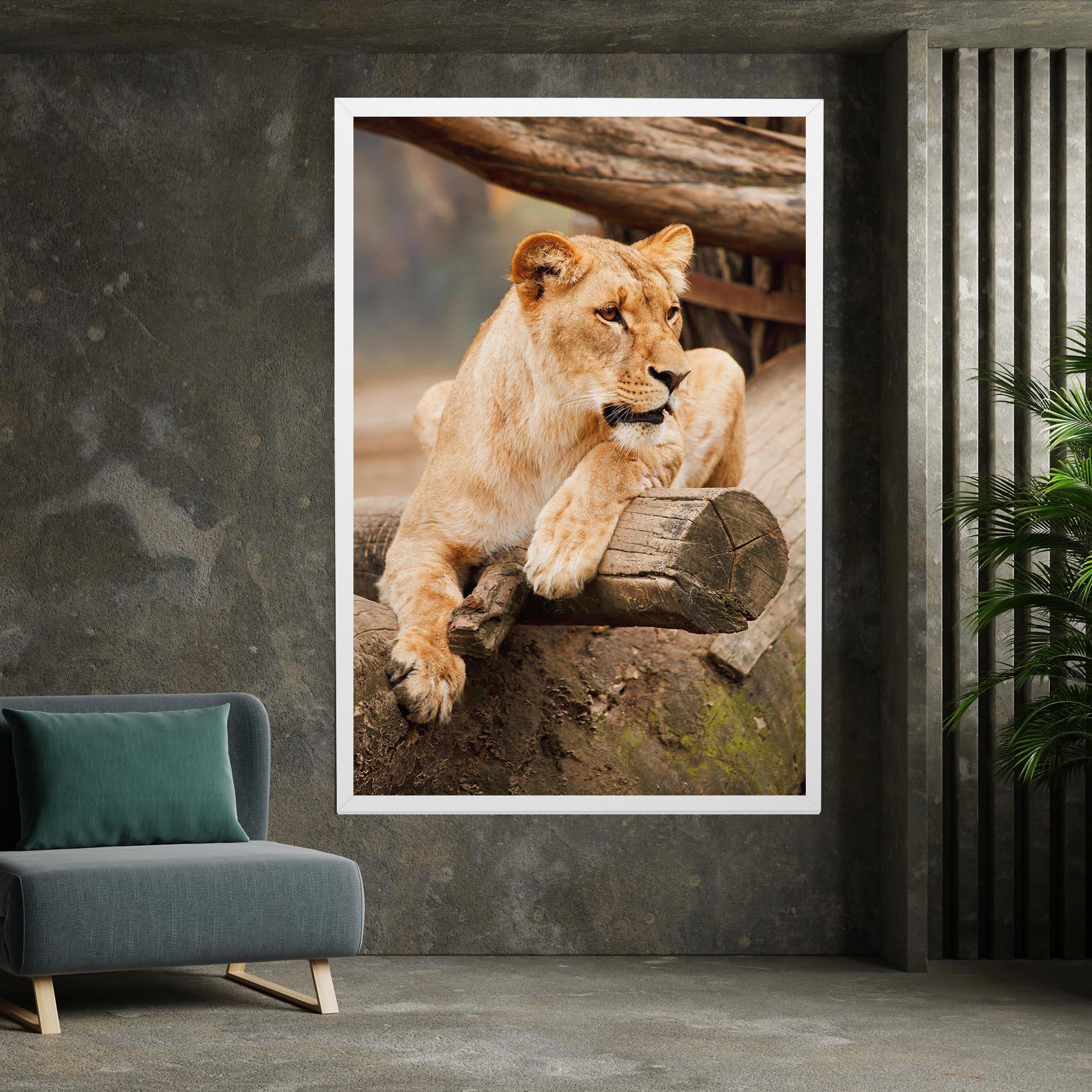 Tablou Canvas Female Lion Sitting mockup 7