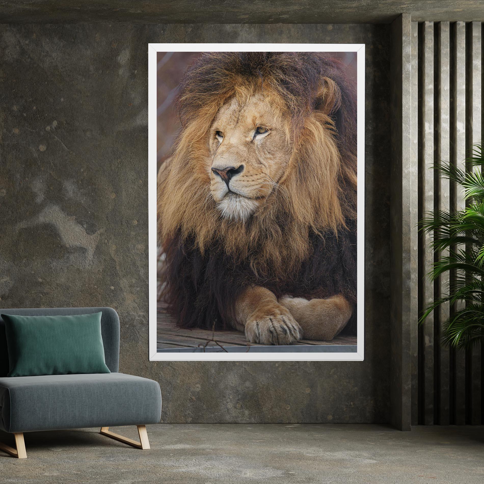 Tablou Canvas Lion Chilling mockup 7