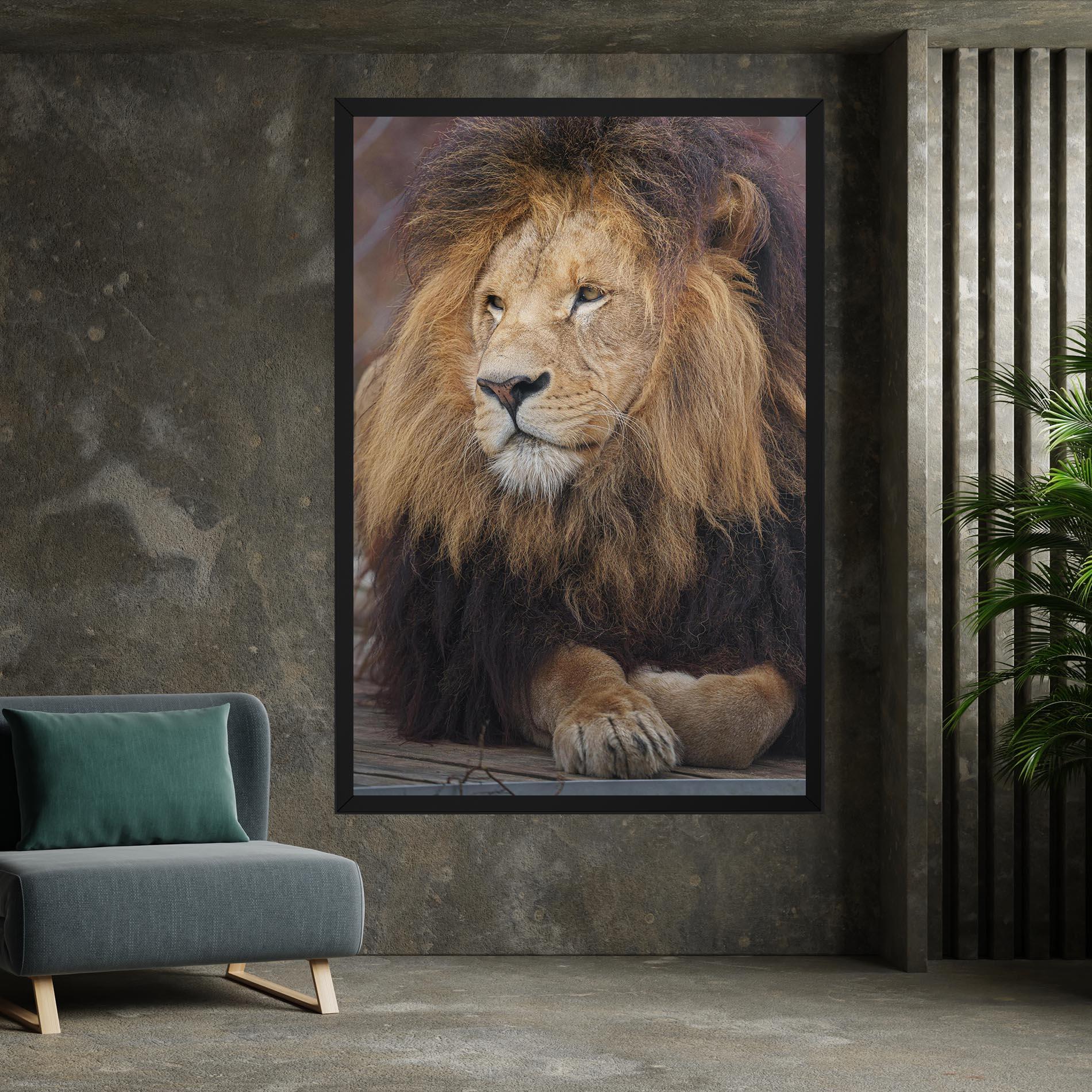 Tablou Canvas Lion Chilling mockup 7