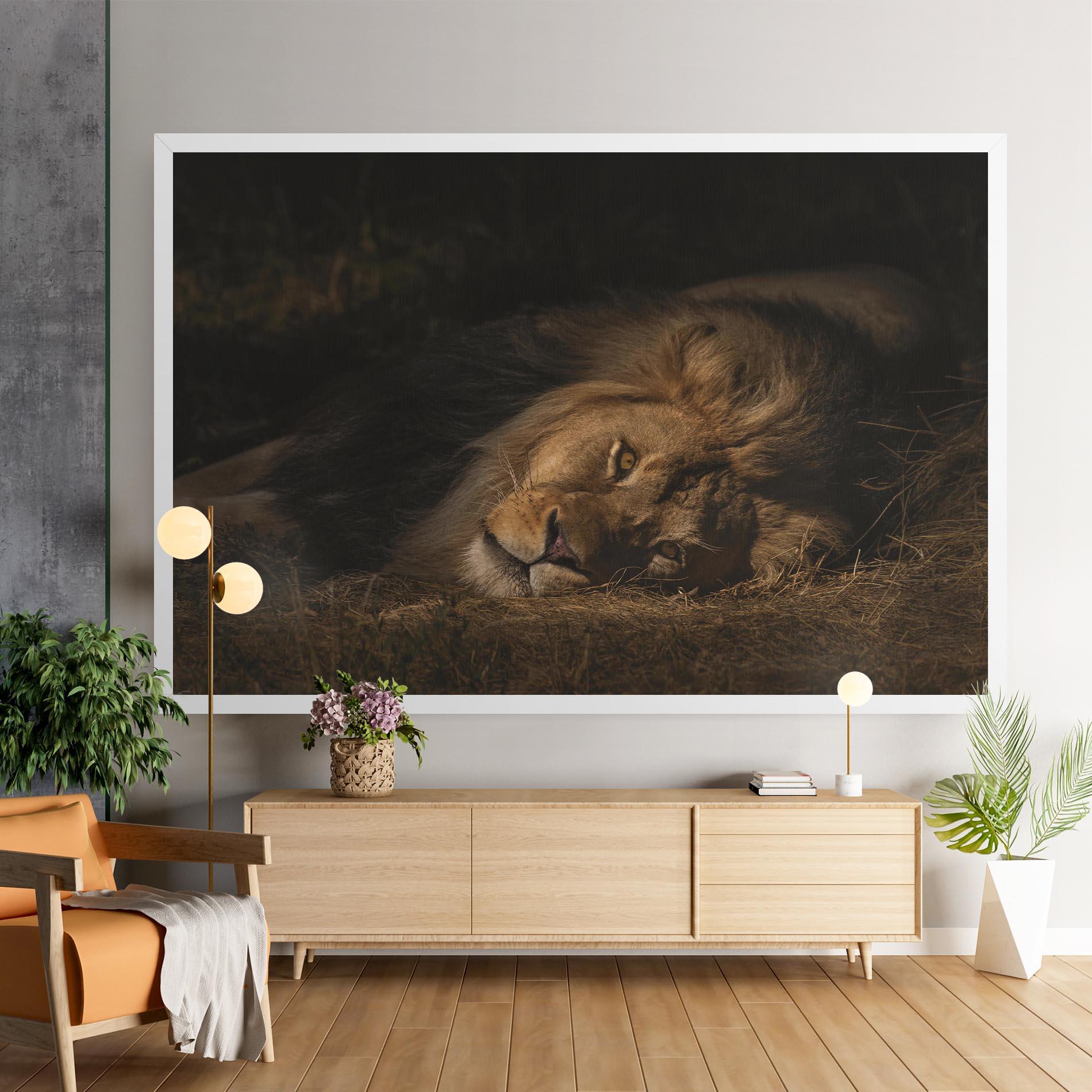 Tablou Canvas Lion Laying Down mockup 9