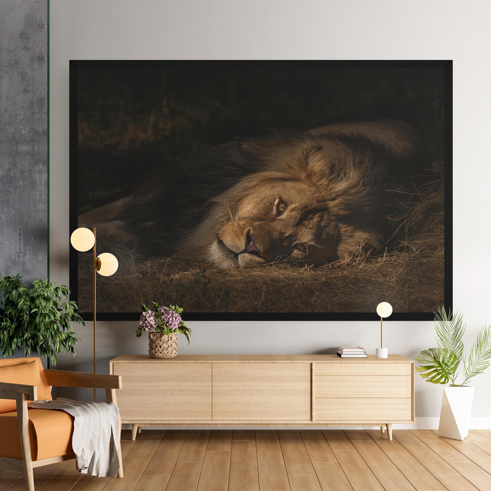 Tablou Canvas Lion Laying Down mockup 9