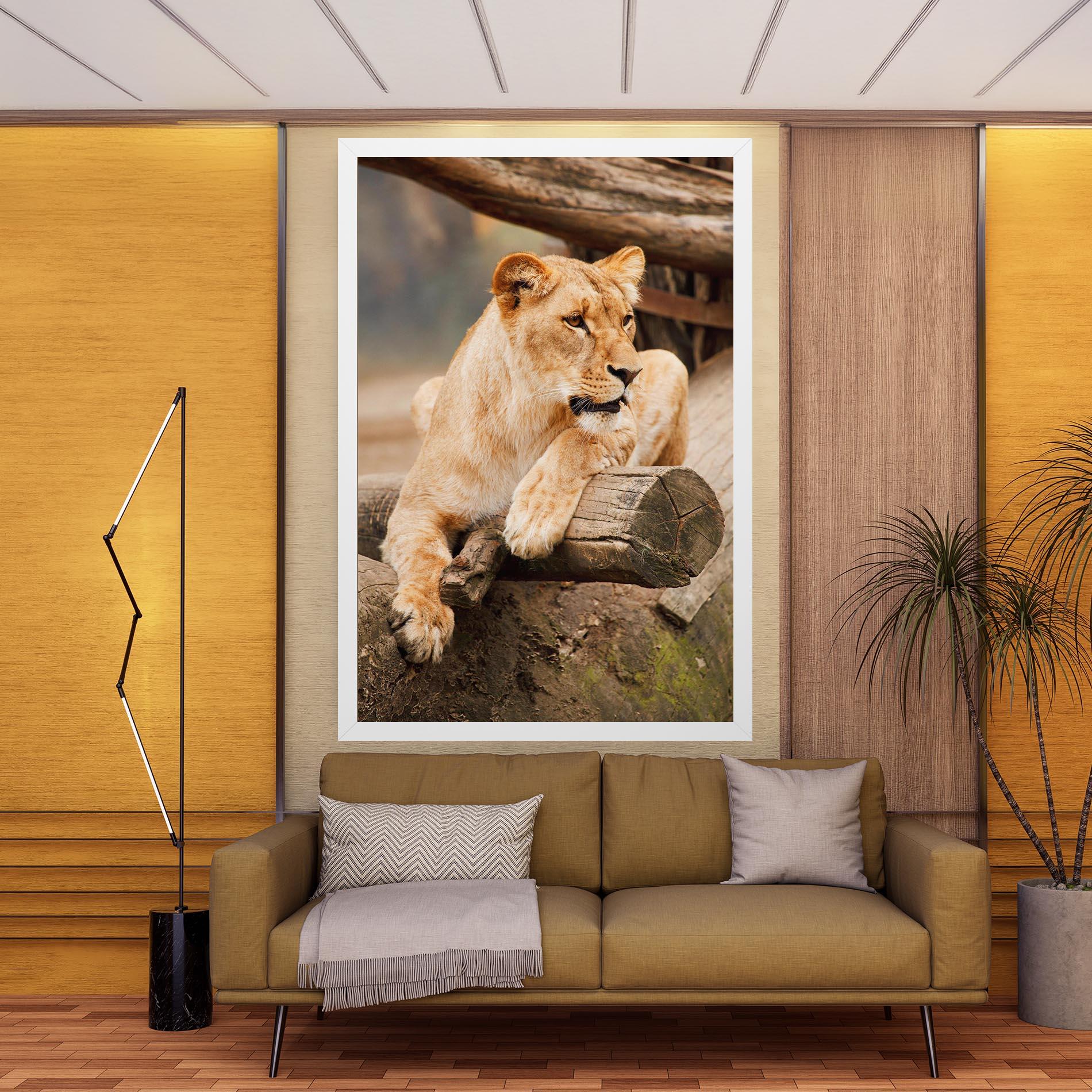 Tablou Canvas Female Lion Sitting mockup 9