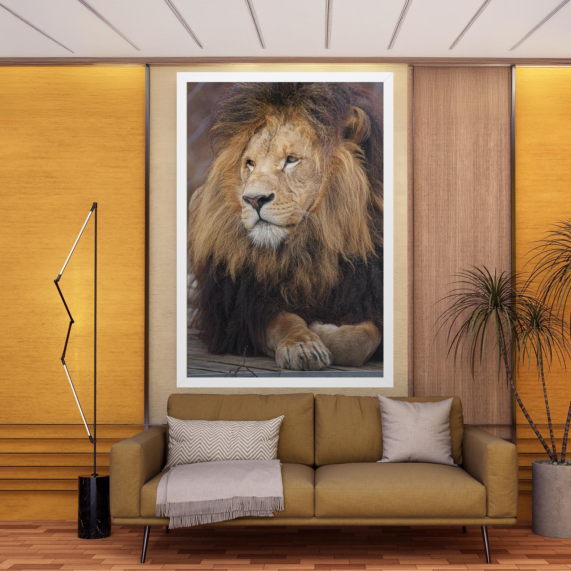 Tablou Canvas Lion Chilling mockup 9