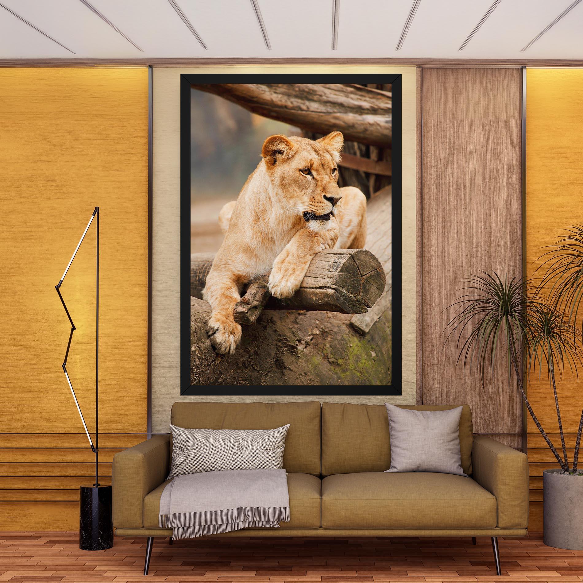 Tablou Canvas Female Lion Sitting mockup 9