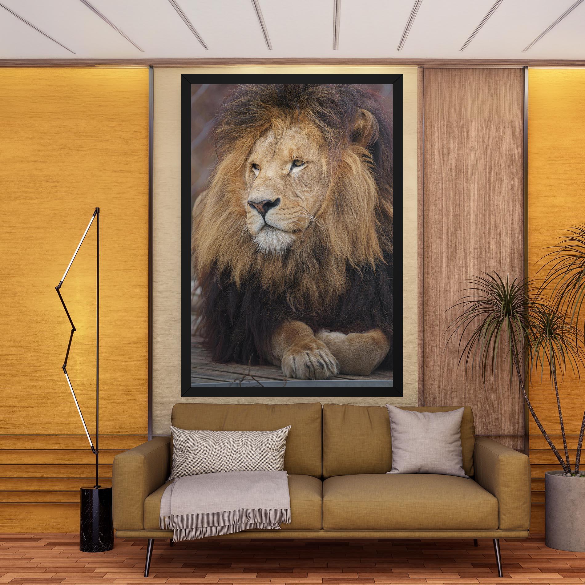 Tablou Canvas Lion Chilling mockup 9
