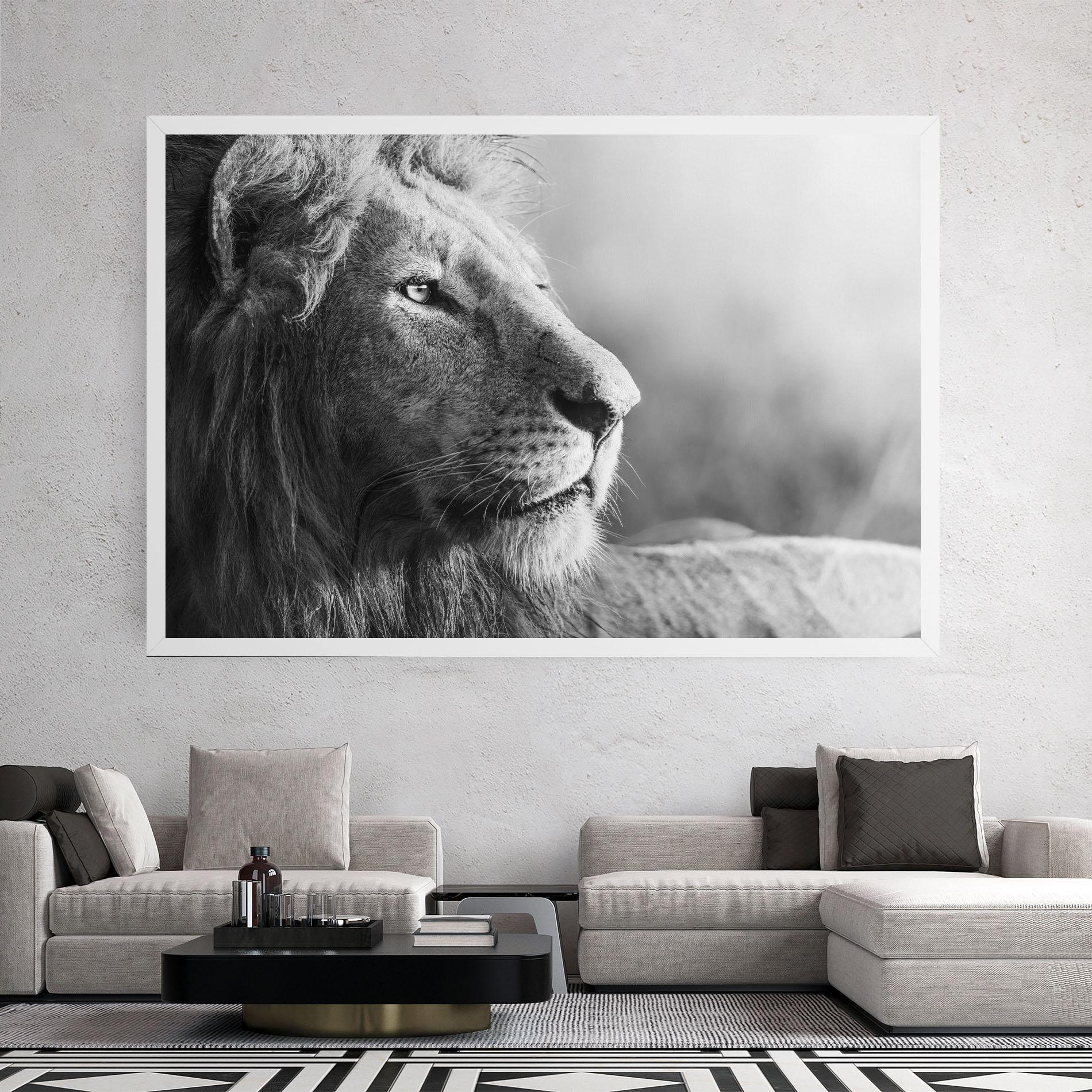 Tablou Canvas Grey Lion Head mockup 2