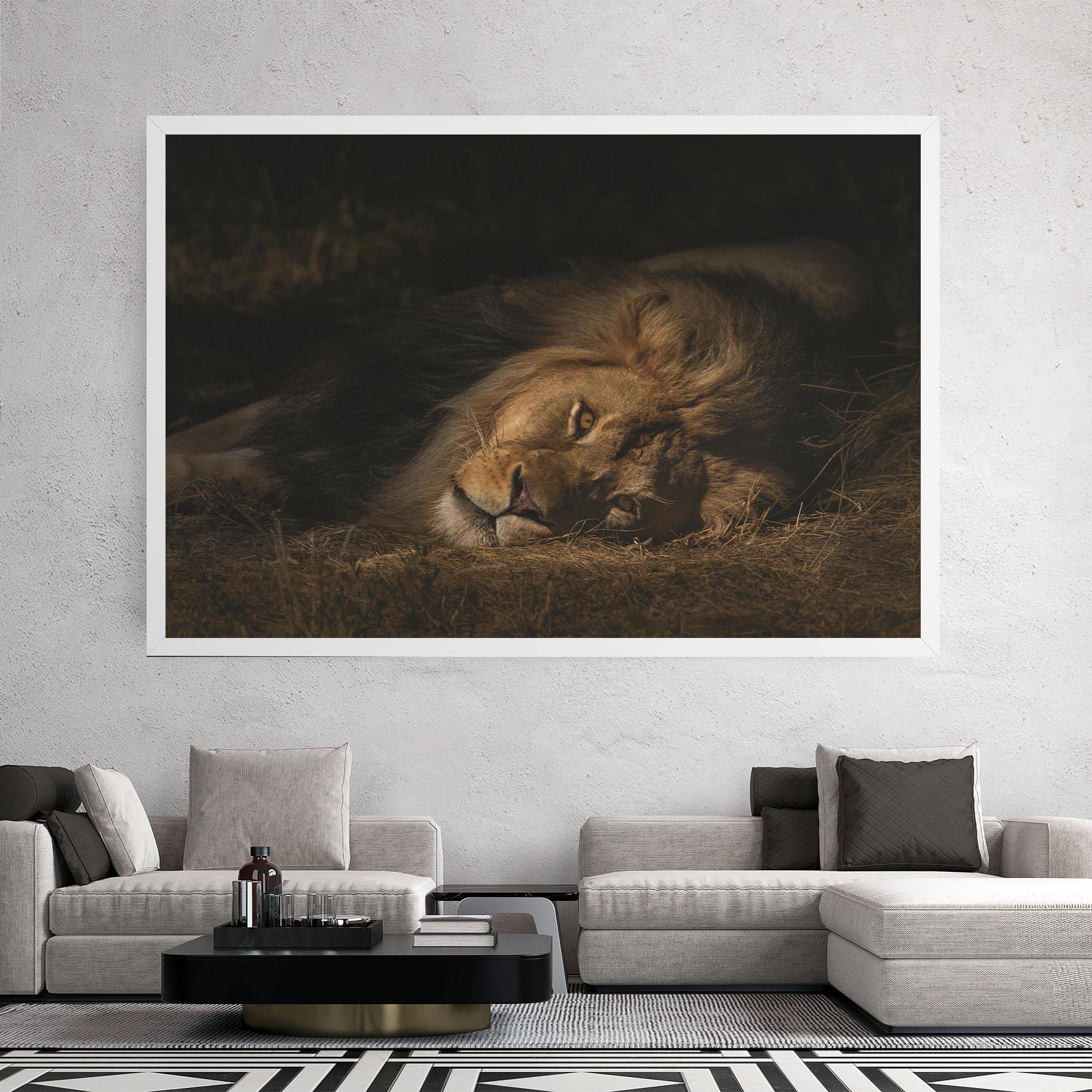 Tablou Canvas Lion Laying Down mockup 2