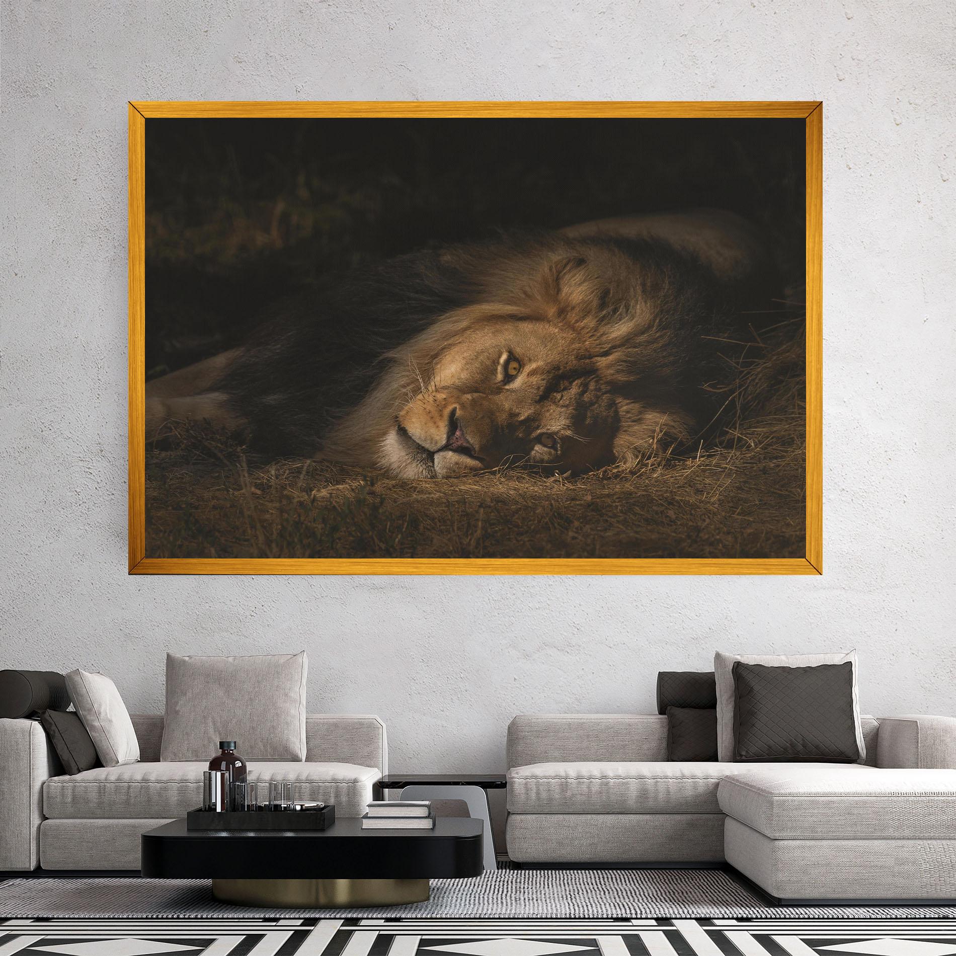 Tablou Canvas Lion Laying Down mockup 2