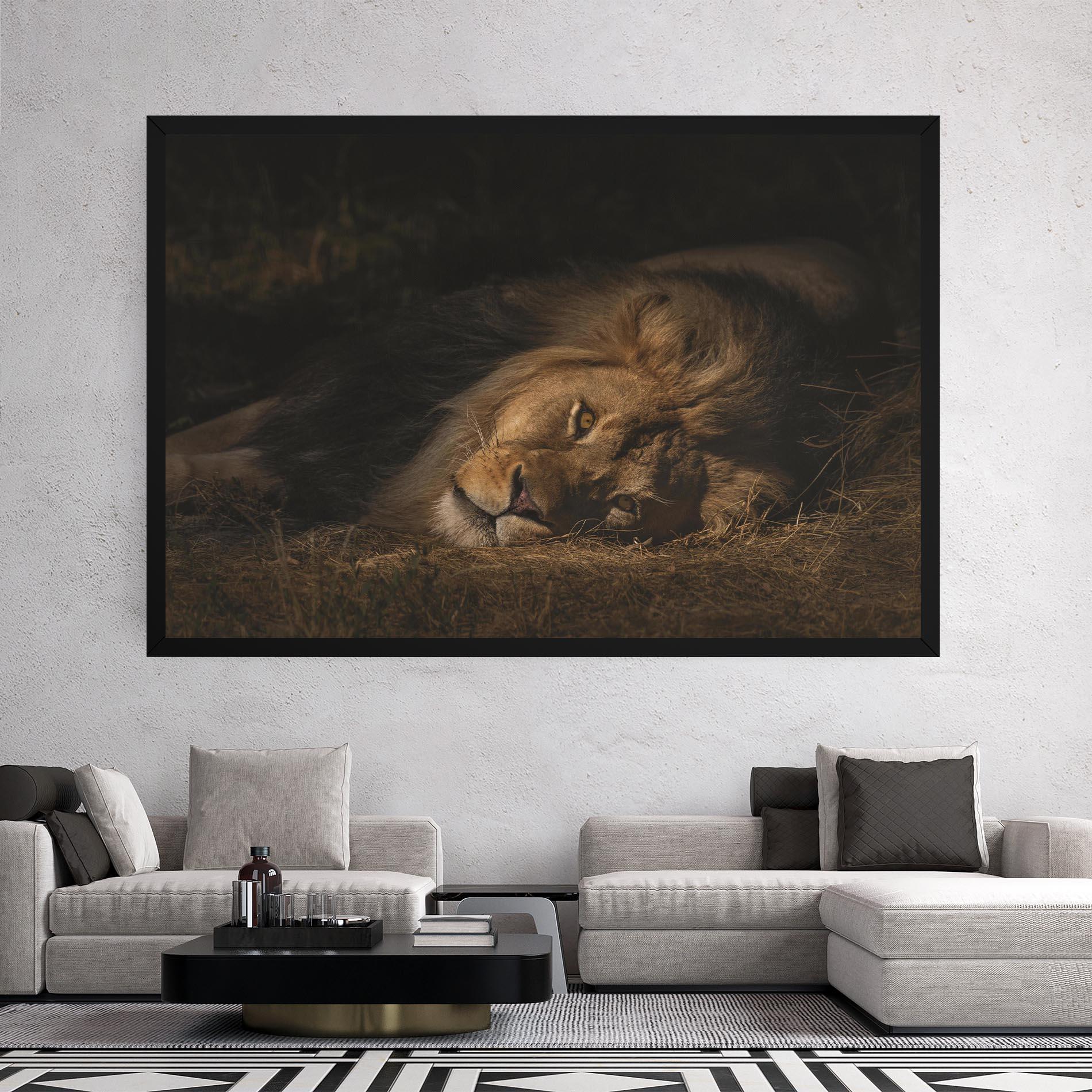 Tablou Canvas Lion Laying Down mockup 2