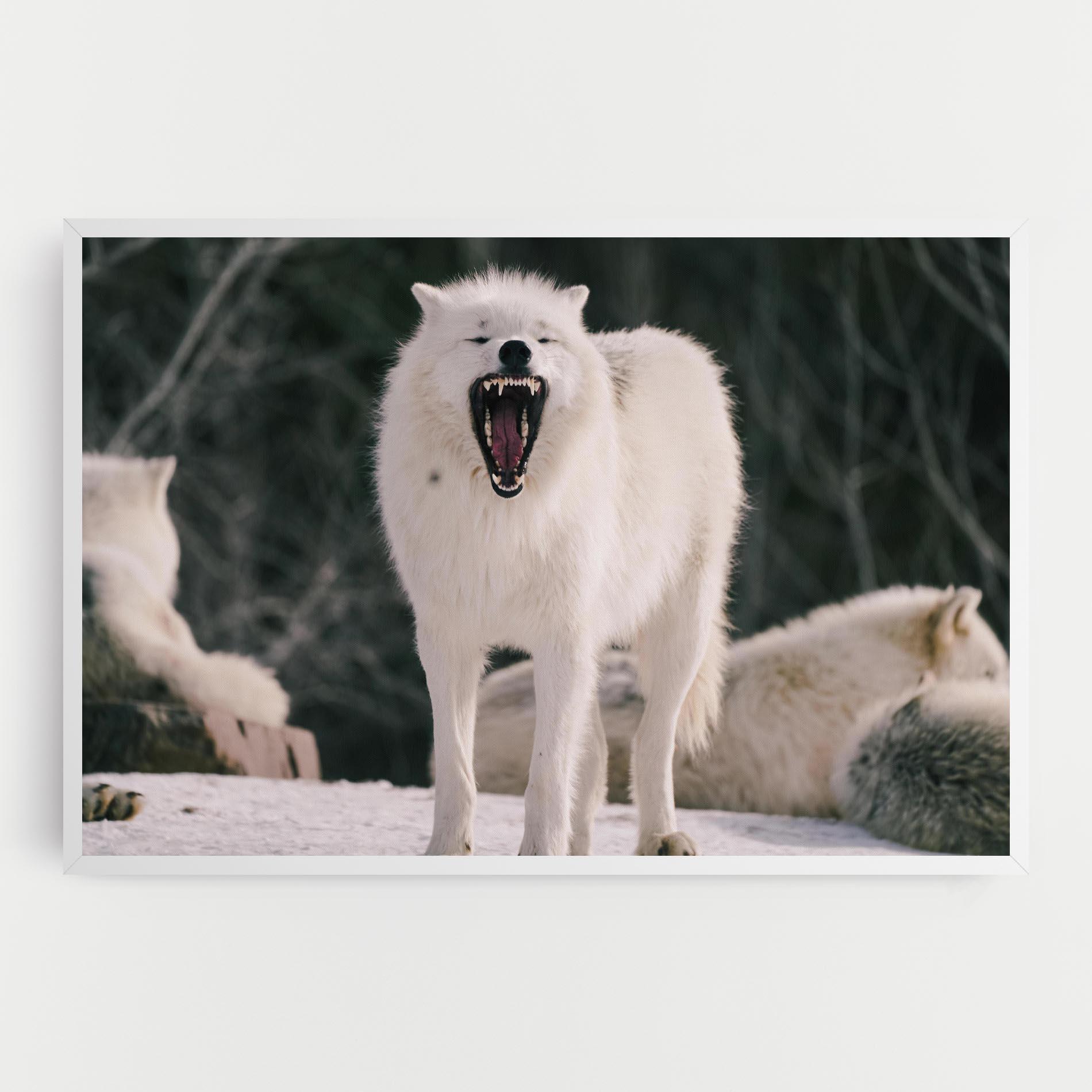 Tablou Canvas Laughing White Wolf mockup 0