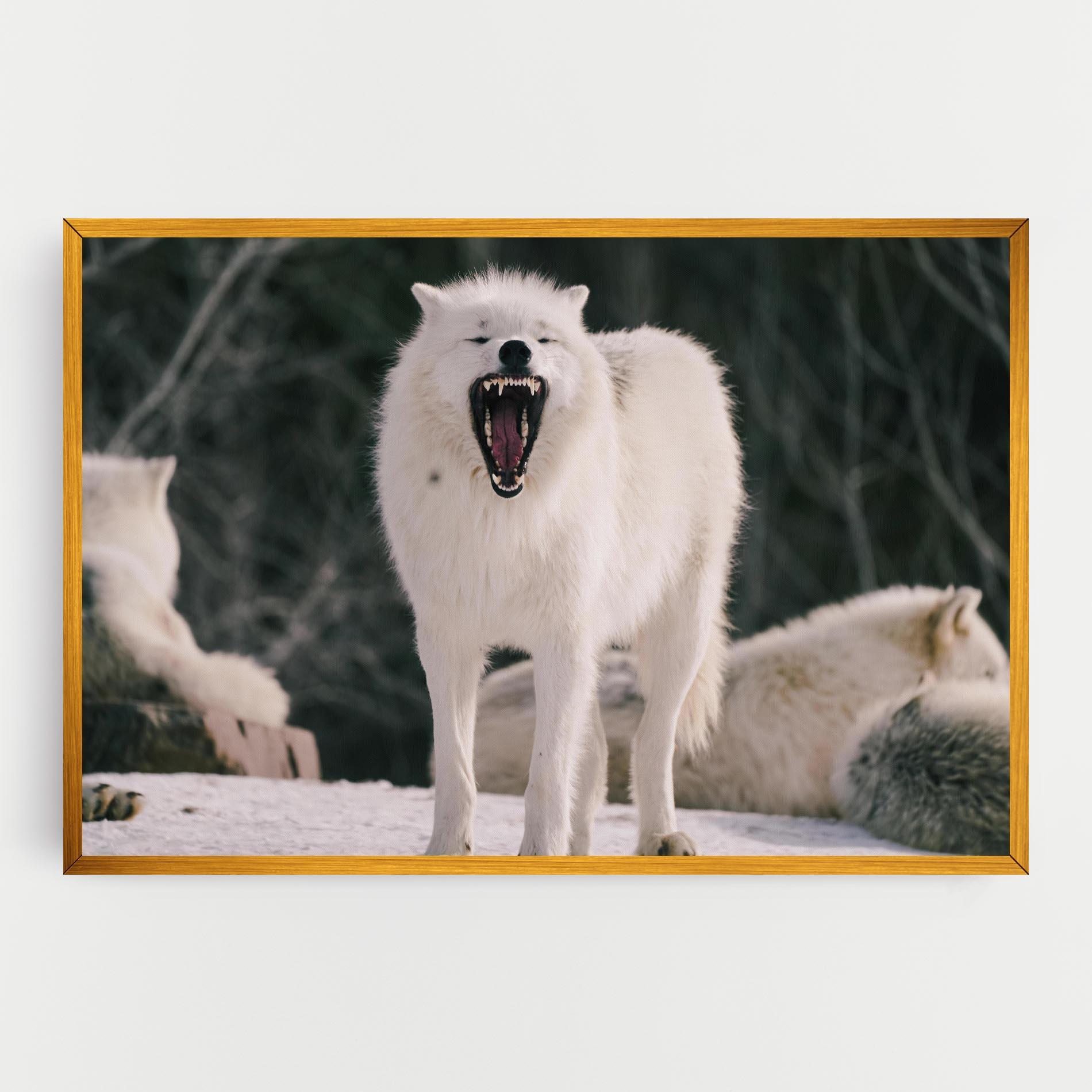 Tablou Canvas Laughing White Wolf mockup 0