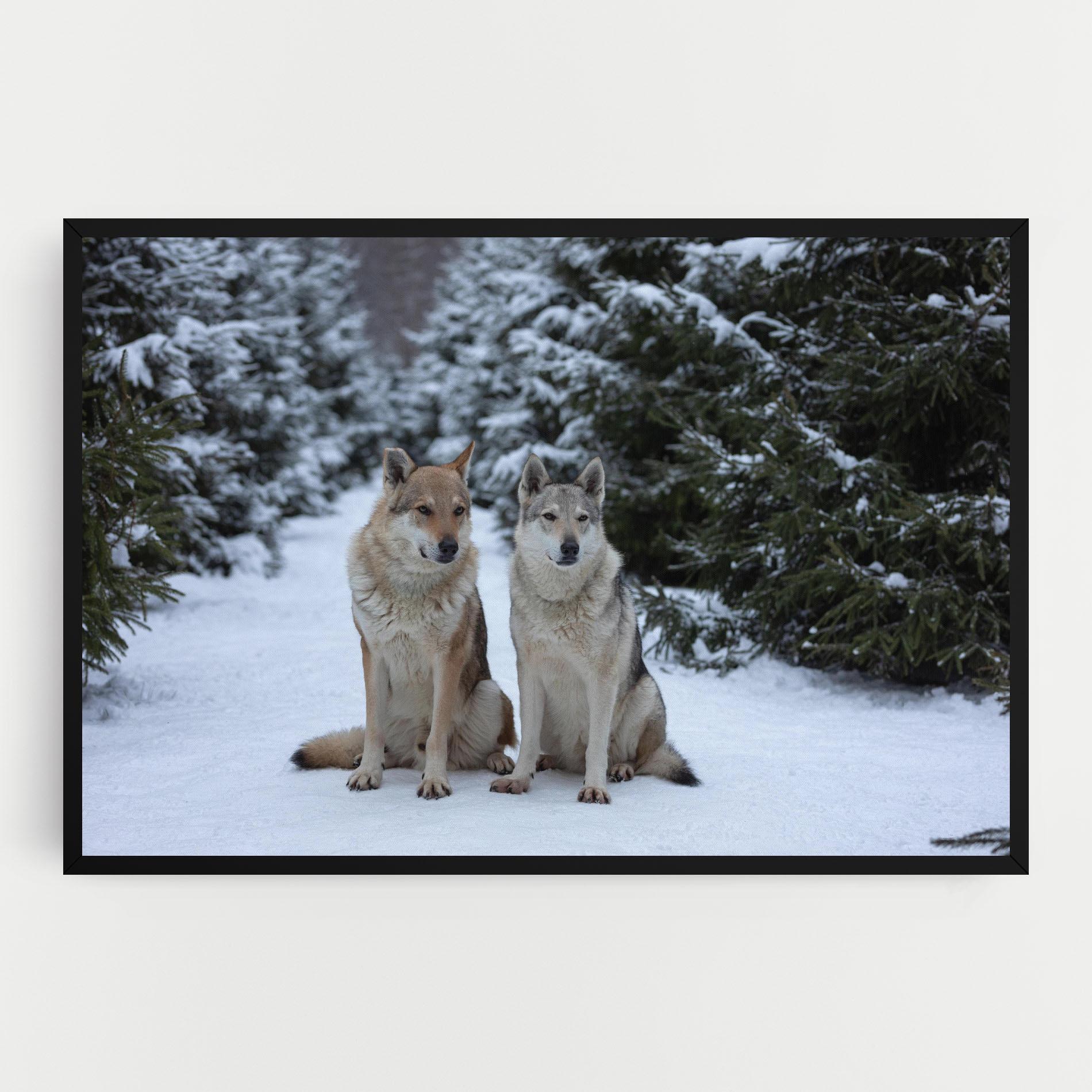 Tablou Canvas 2 Wolfs Sitting mockup 0