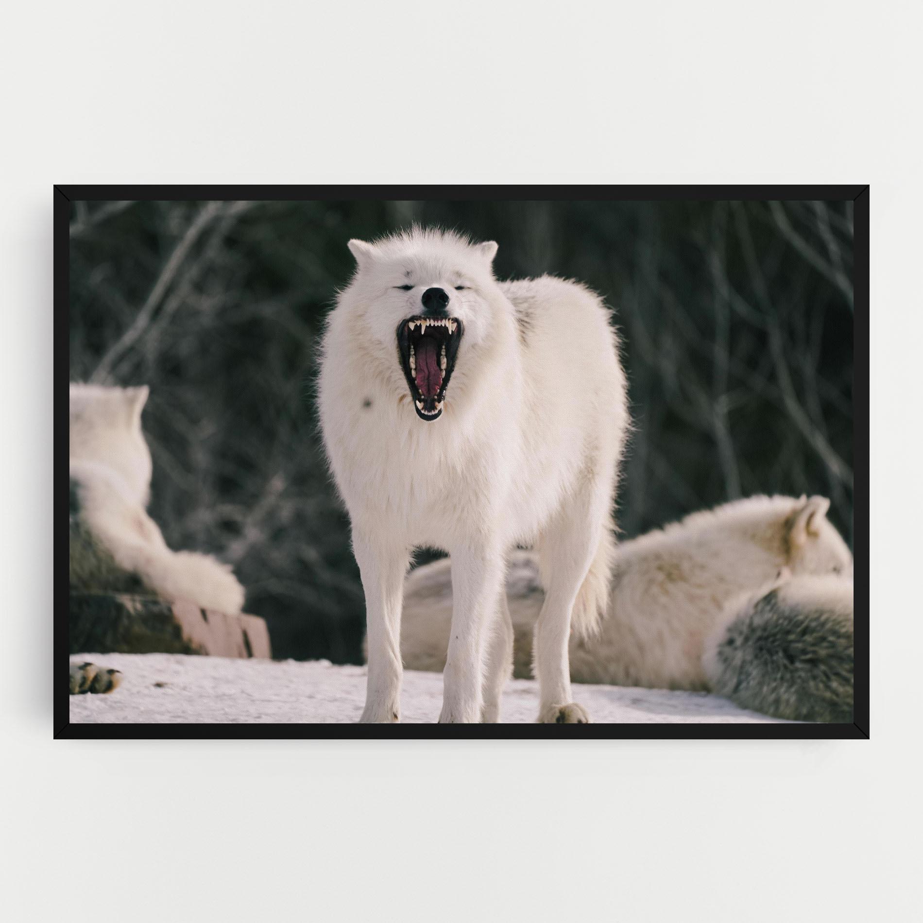 Tablou Canvas Laughing White Wolf mockup 0