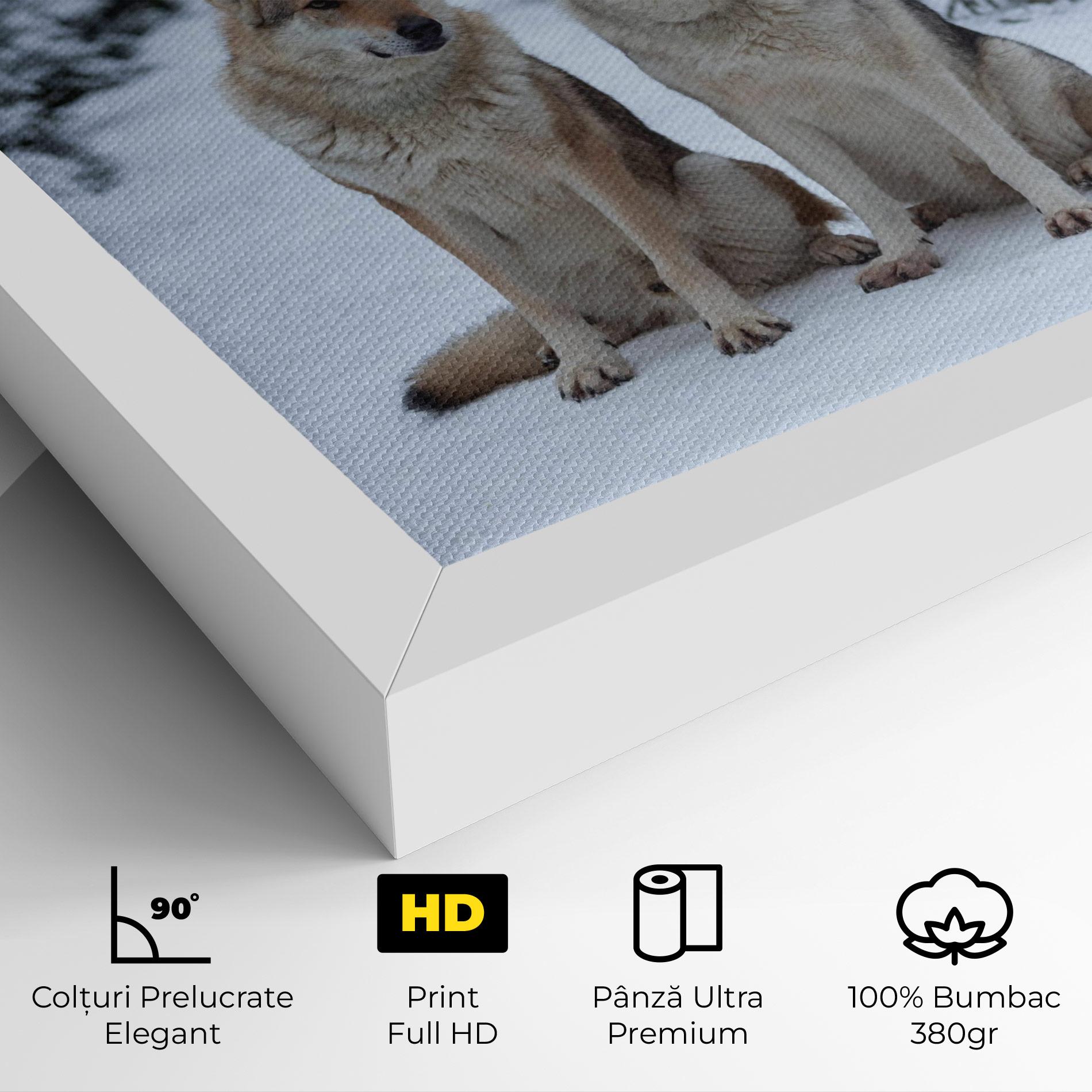 Tablou Canvas 2 Wolfs Sitting mockup 4