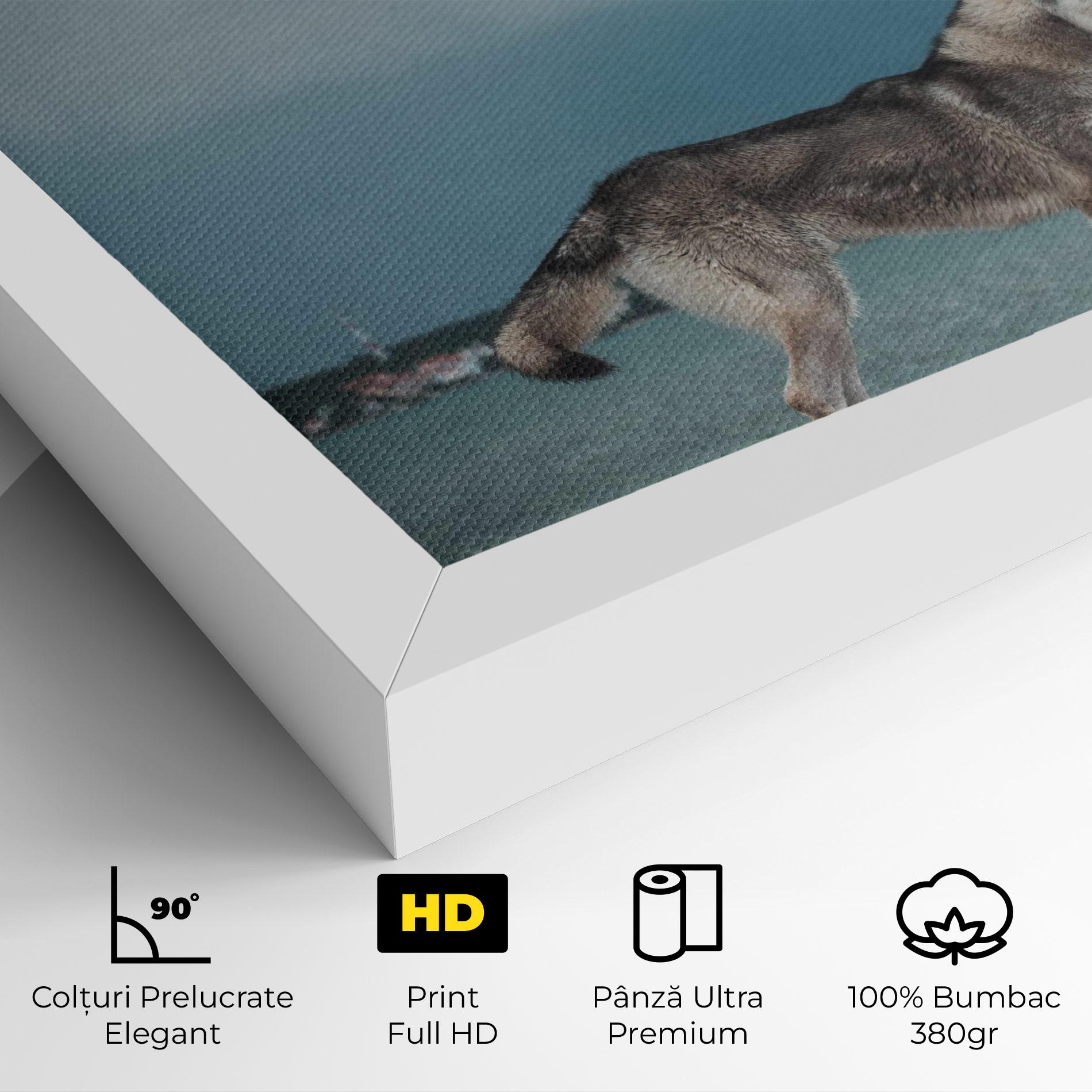 Tablou Canvas Grey Wolf Looking mockup 4