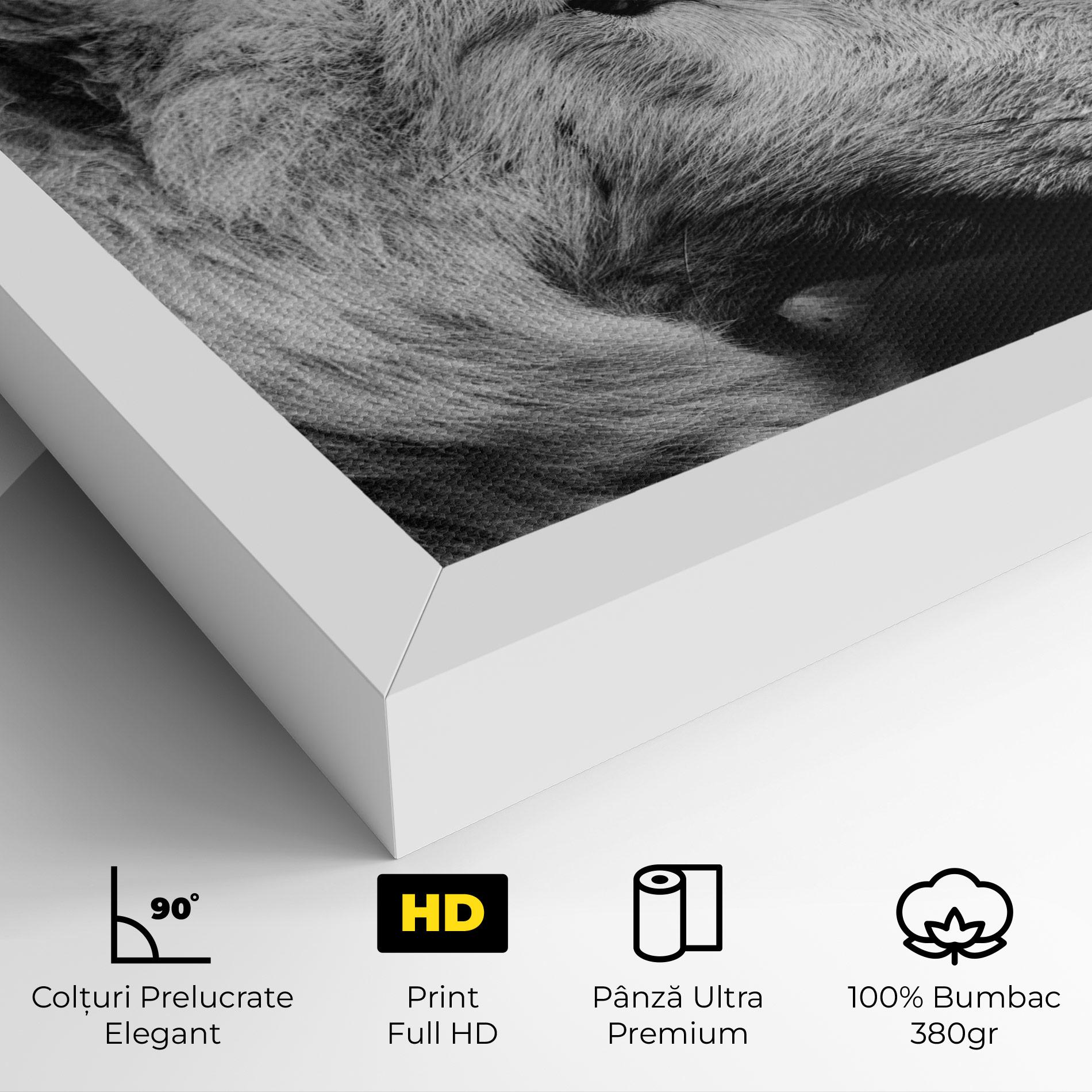 Tablou Canvas Grey Wolf mockup 4