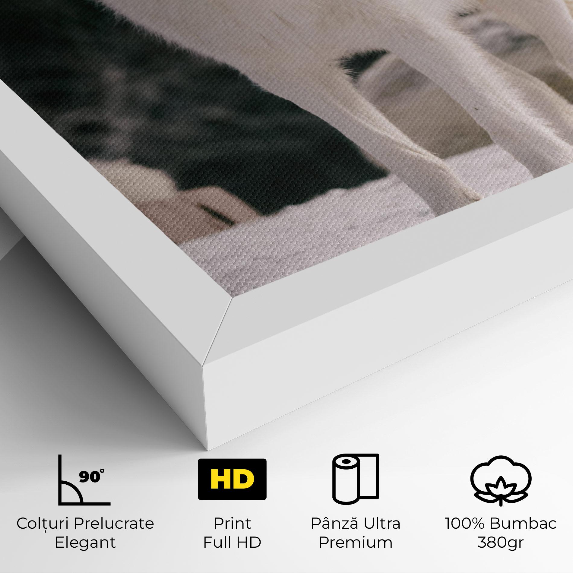 Tablou Canvas Laughing White Wolf mockup 4