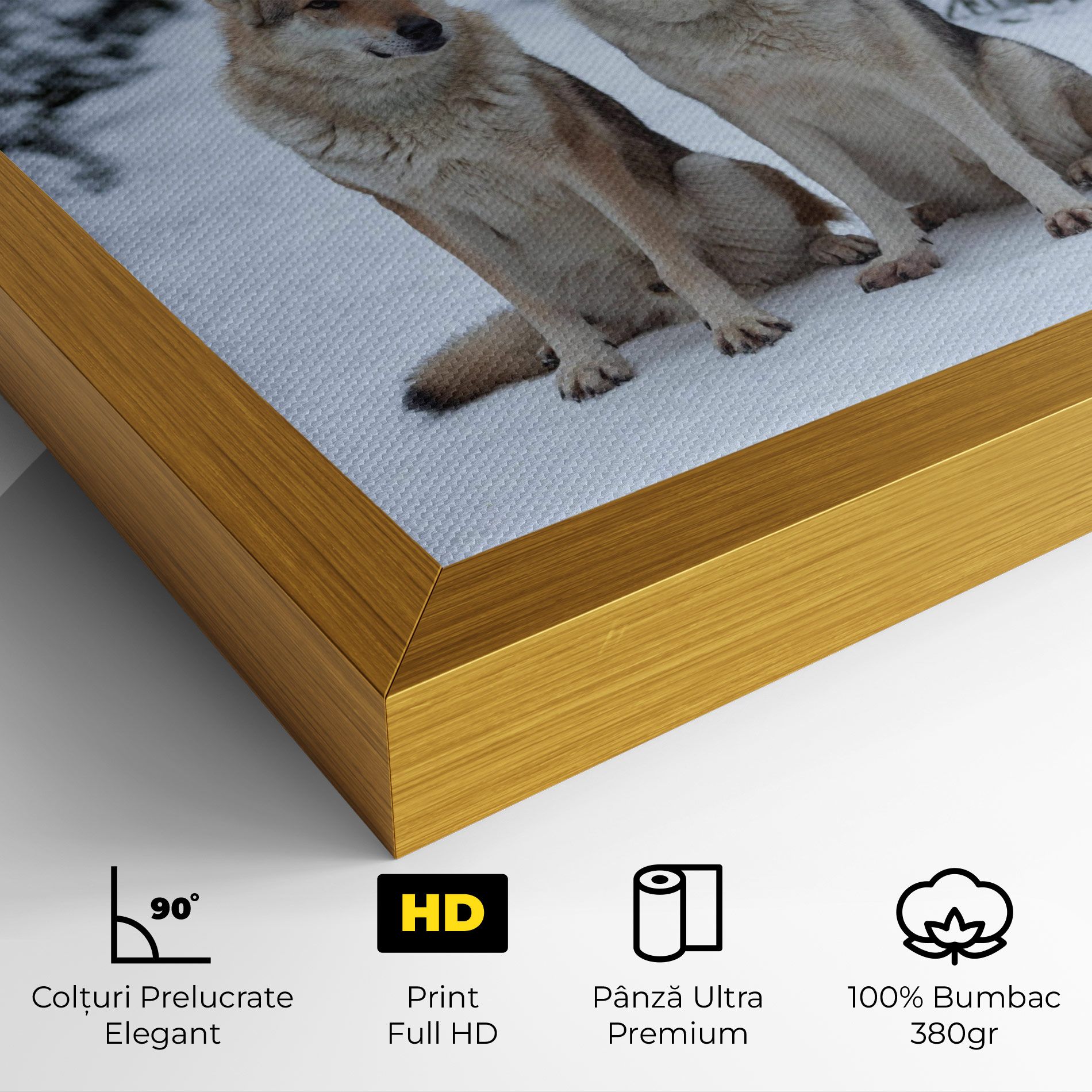 2 Wolfs Sitting mockup 4