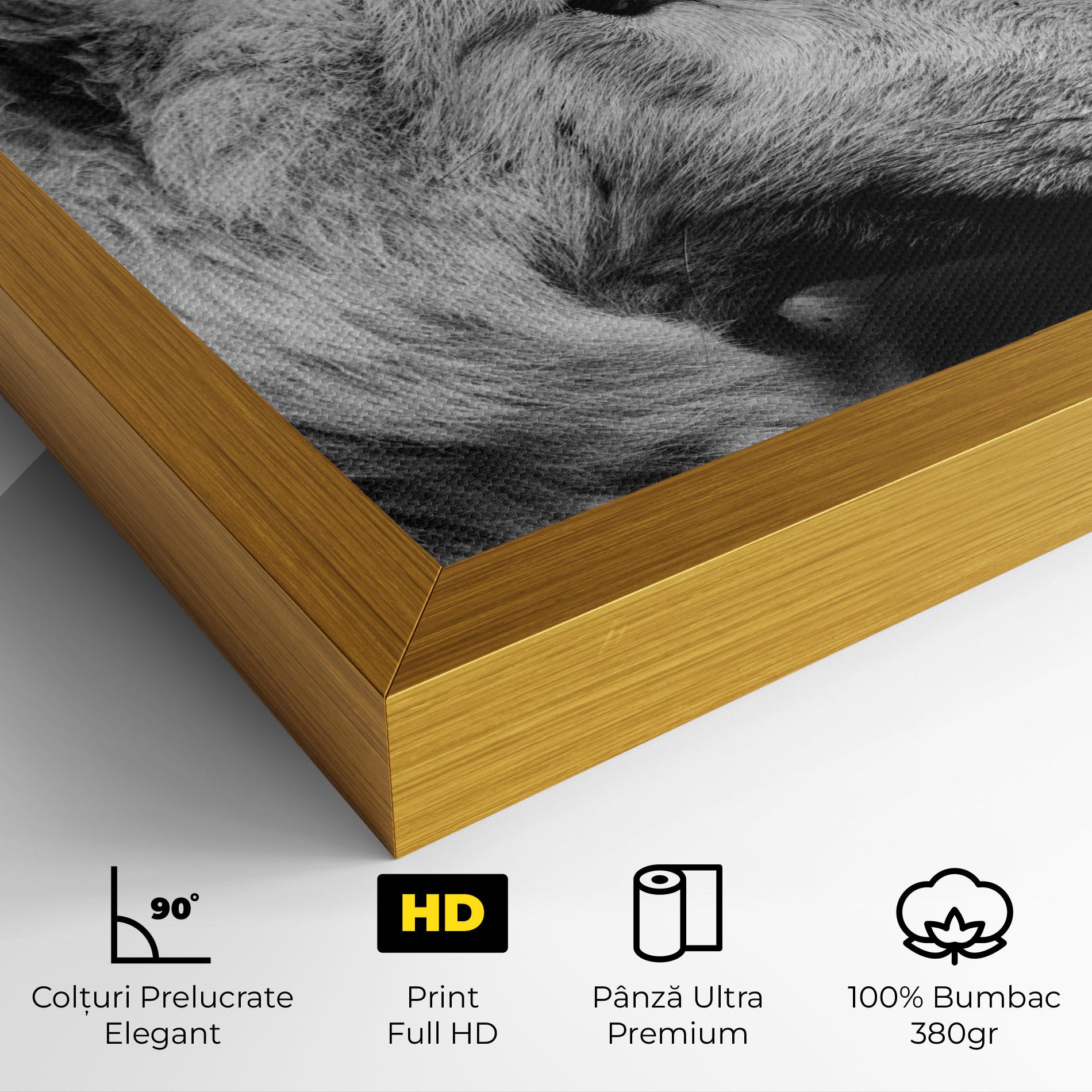 Tablou Canvas Grey Wolf mockup 4