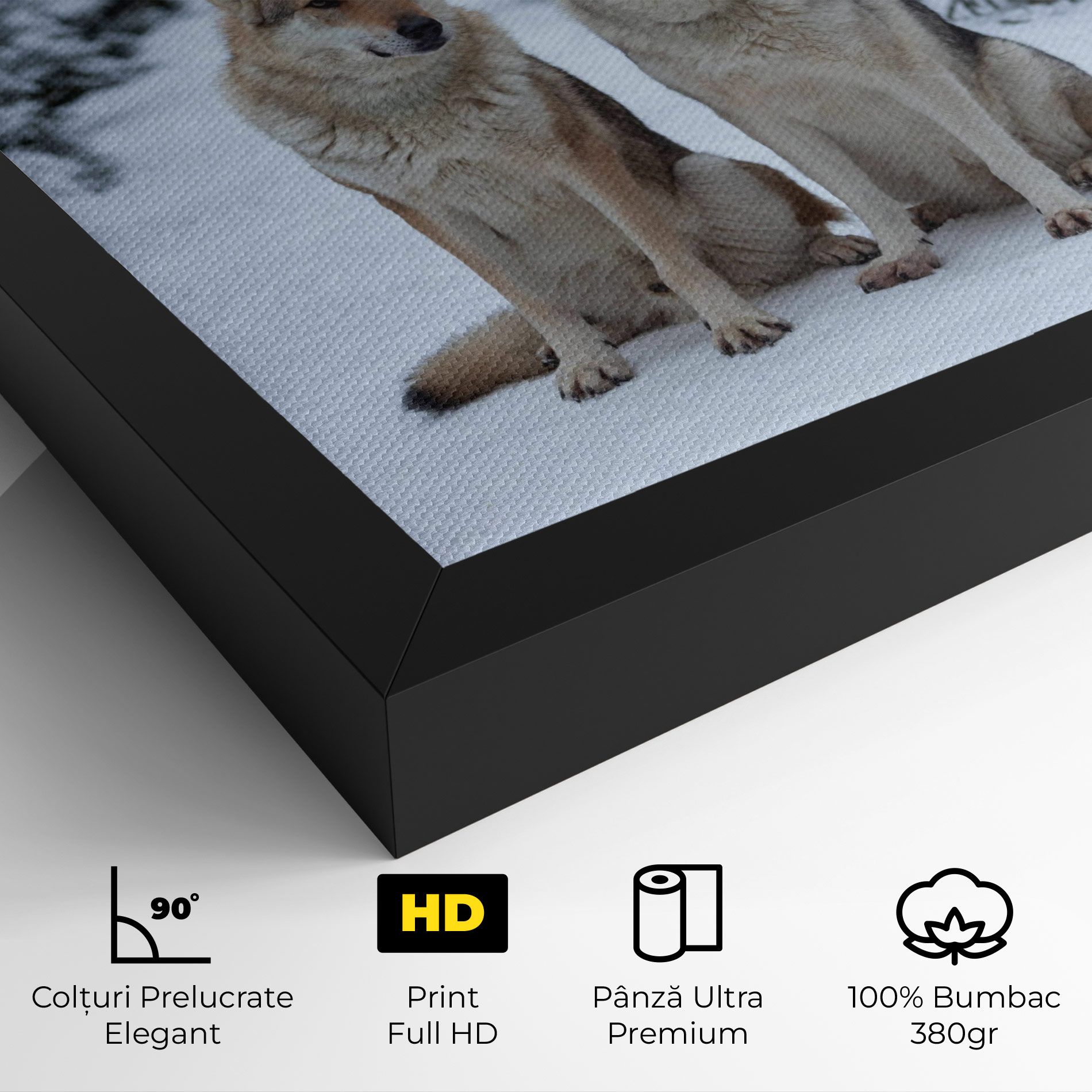 2 Wolfs Sitting mockup 4
