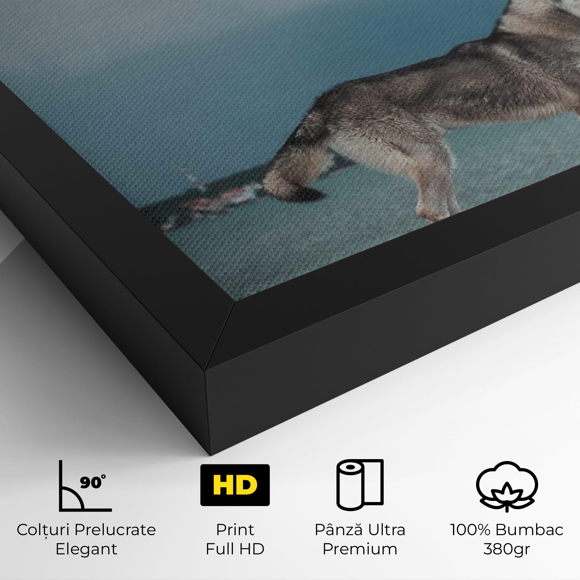 Tablou Canvas Grey Wolf Looking mockup 4