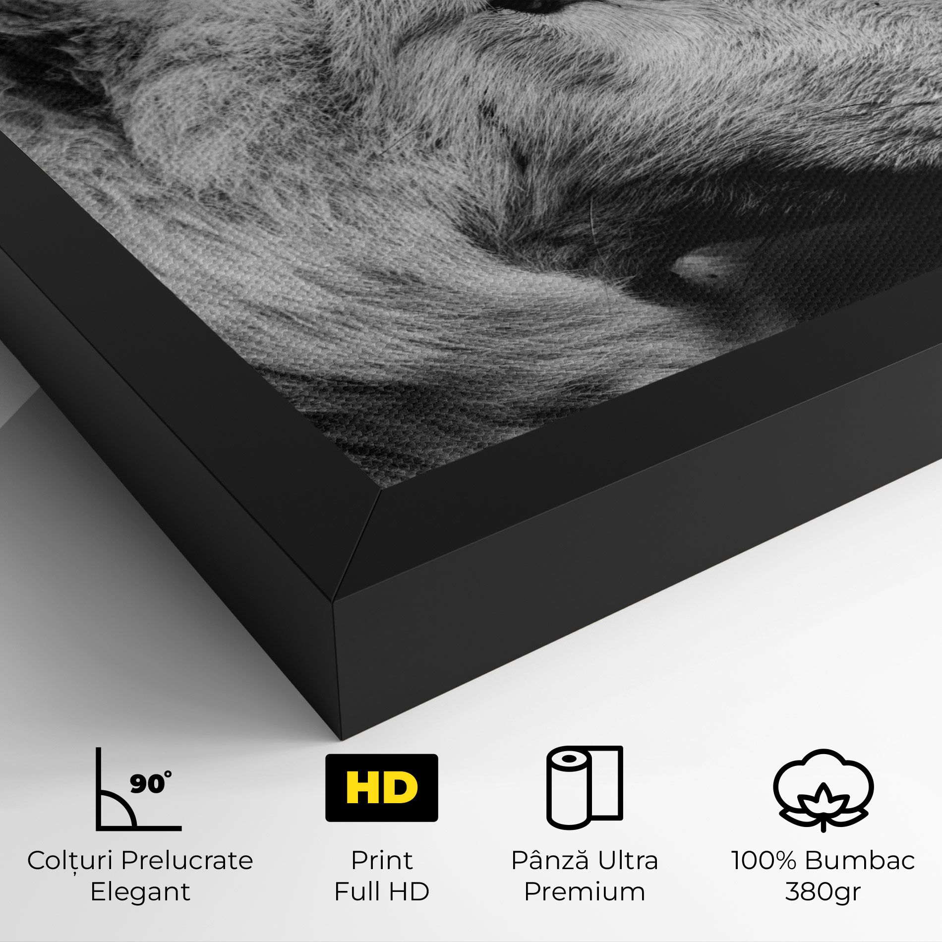 Grey Wolf mockup 4