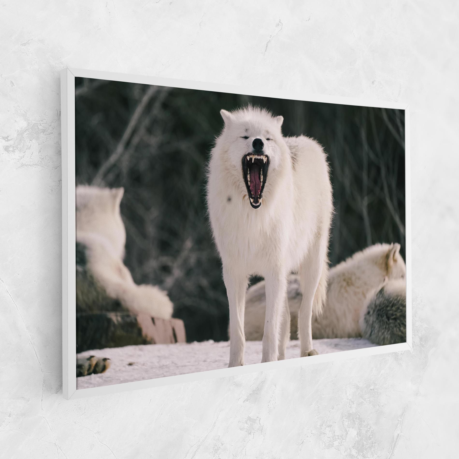Laughing White Wolf mockup 1