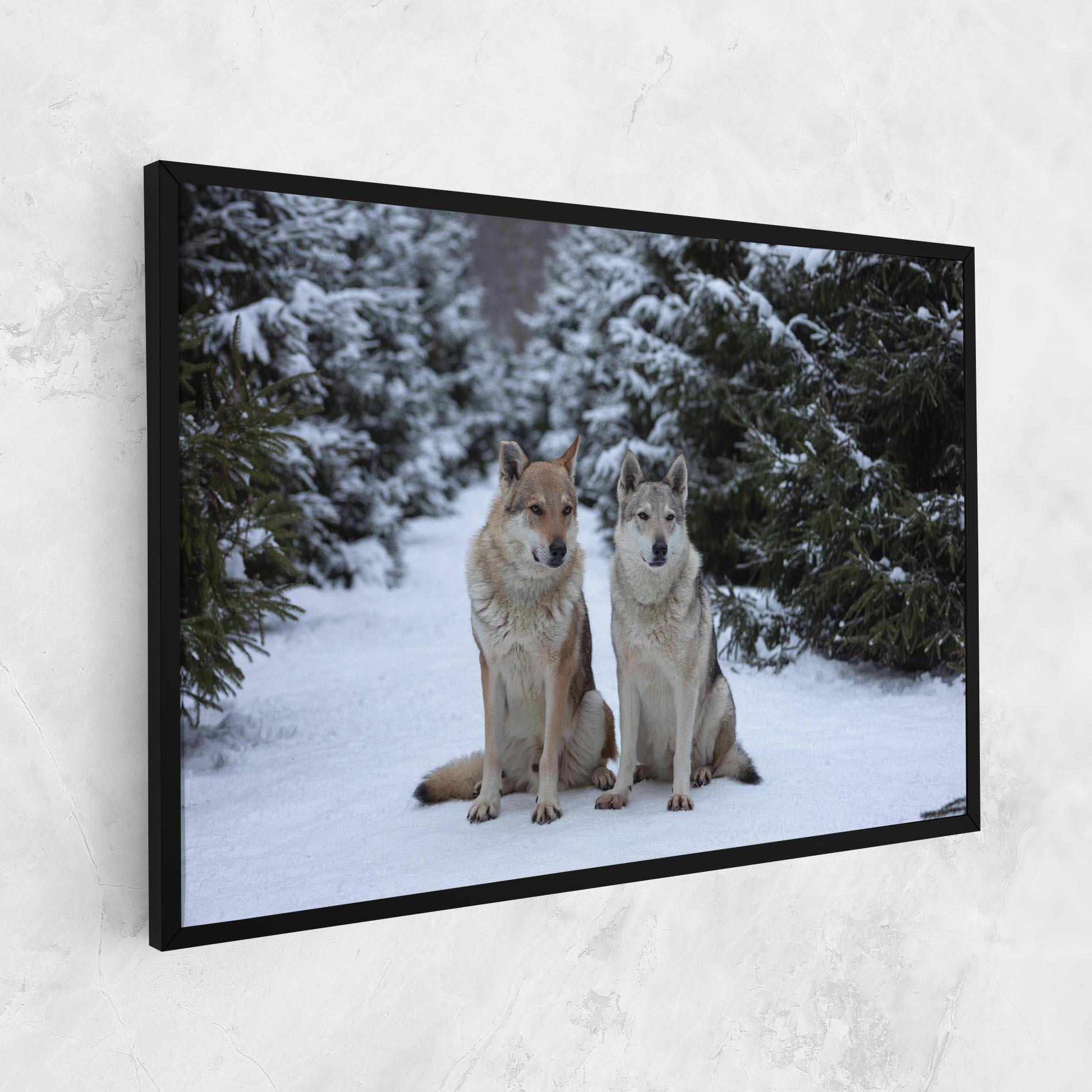 Tablou Canvas 2 Wolfs Sitting mockup 1