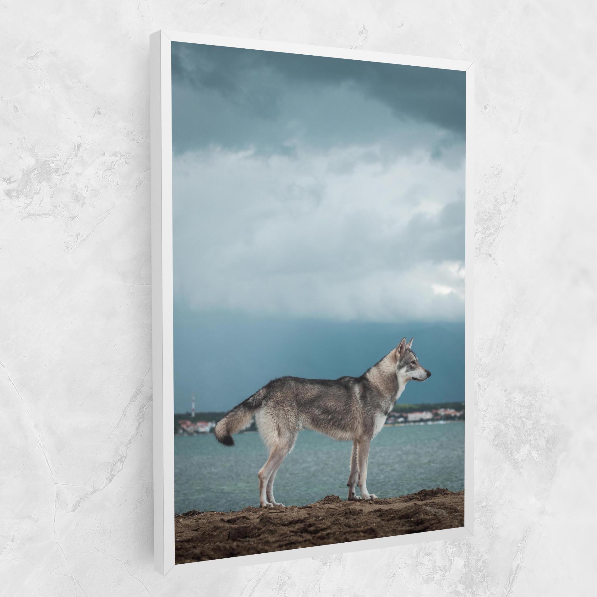 Tablou Canvas Grey Wolf Looking mockup 1