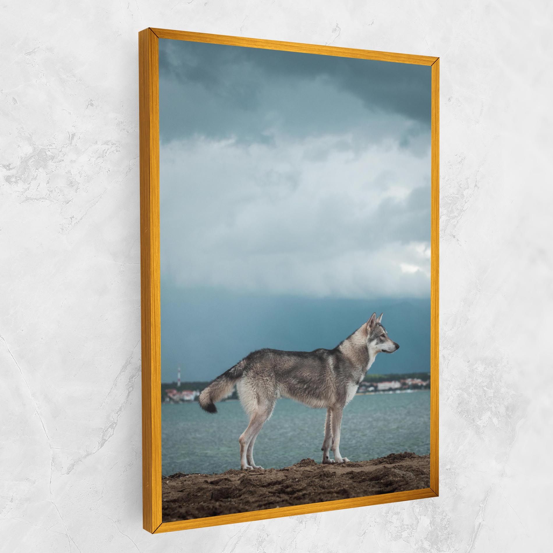 Grey Wolf Looking mockup 1