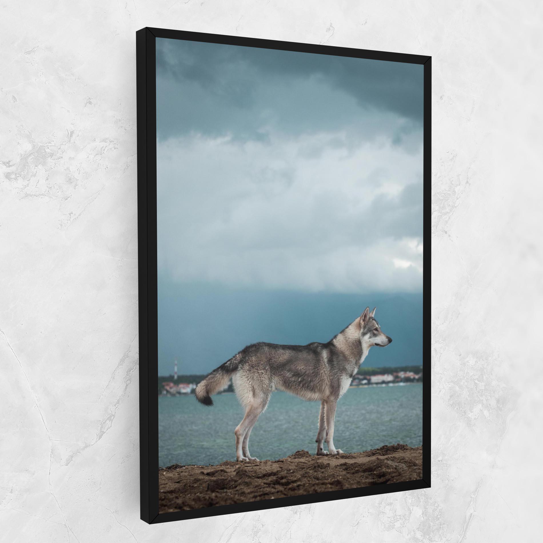 Tablou Canvas Grey Wolf Looking mockup 1