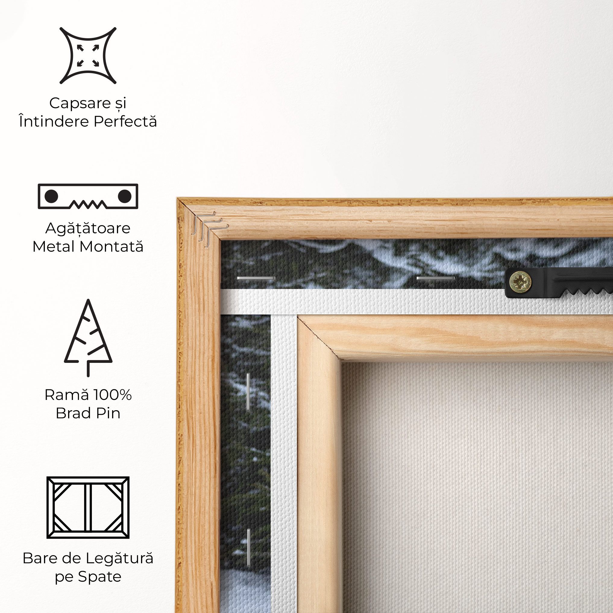 2 Wolfs Sitting mockup 5