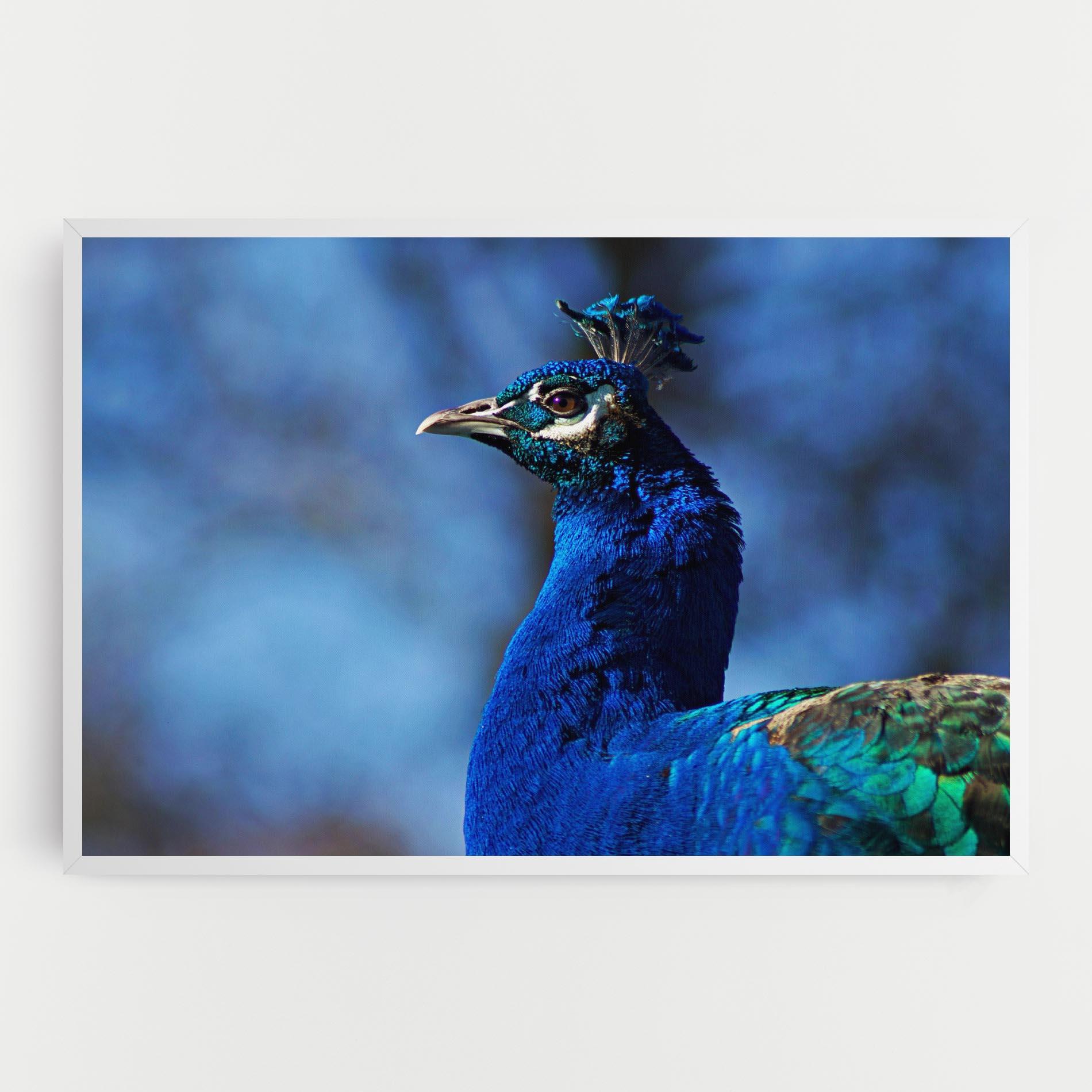 Tablou Canvas Blue Bird mockup 0