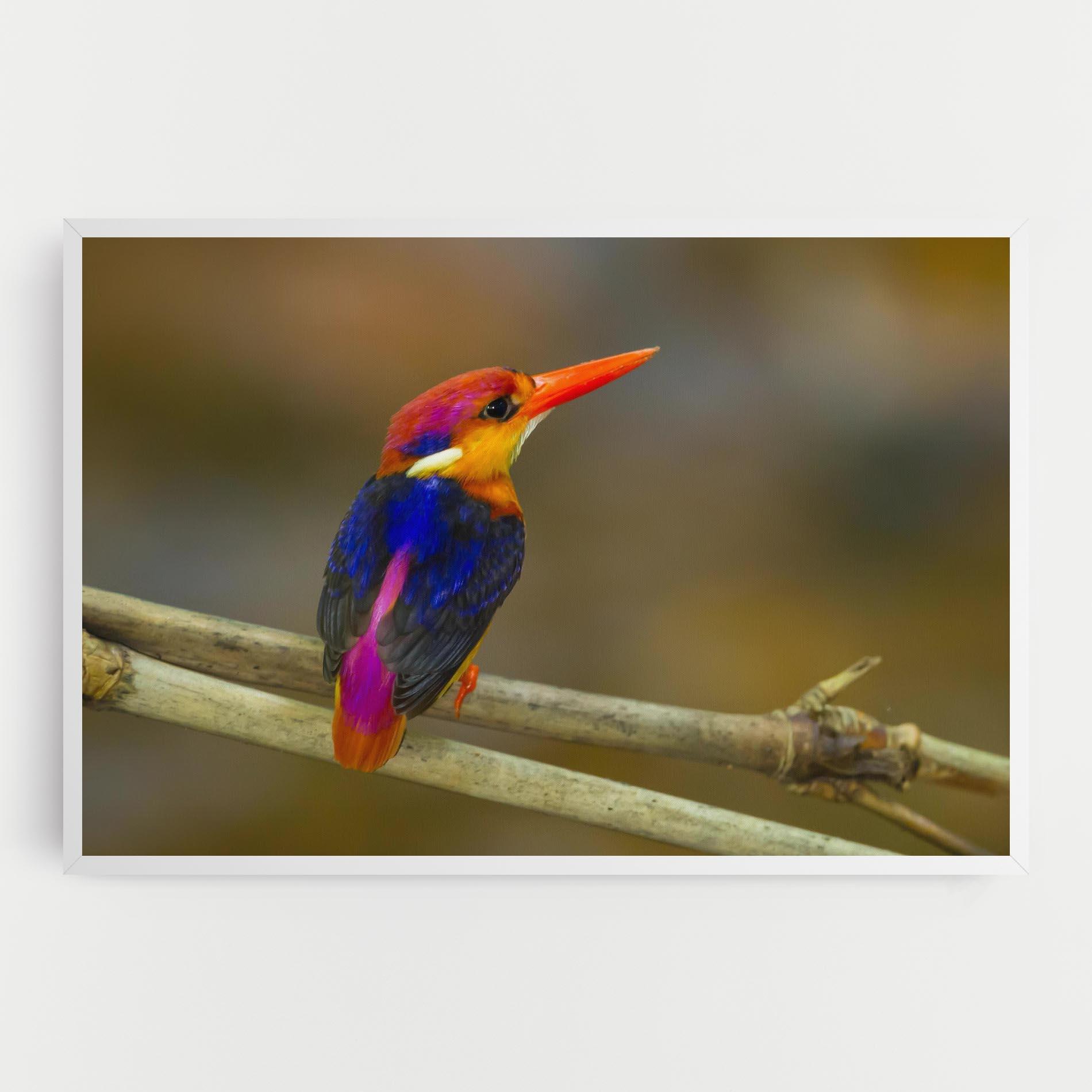 Tablou Canvas Colorful Bird mockup 0