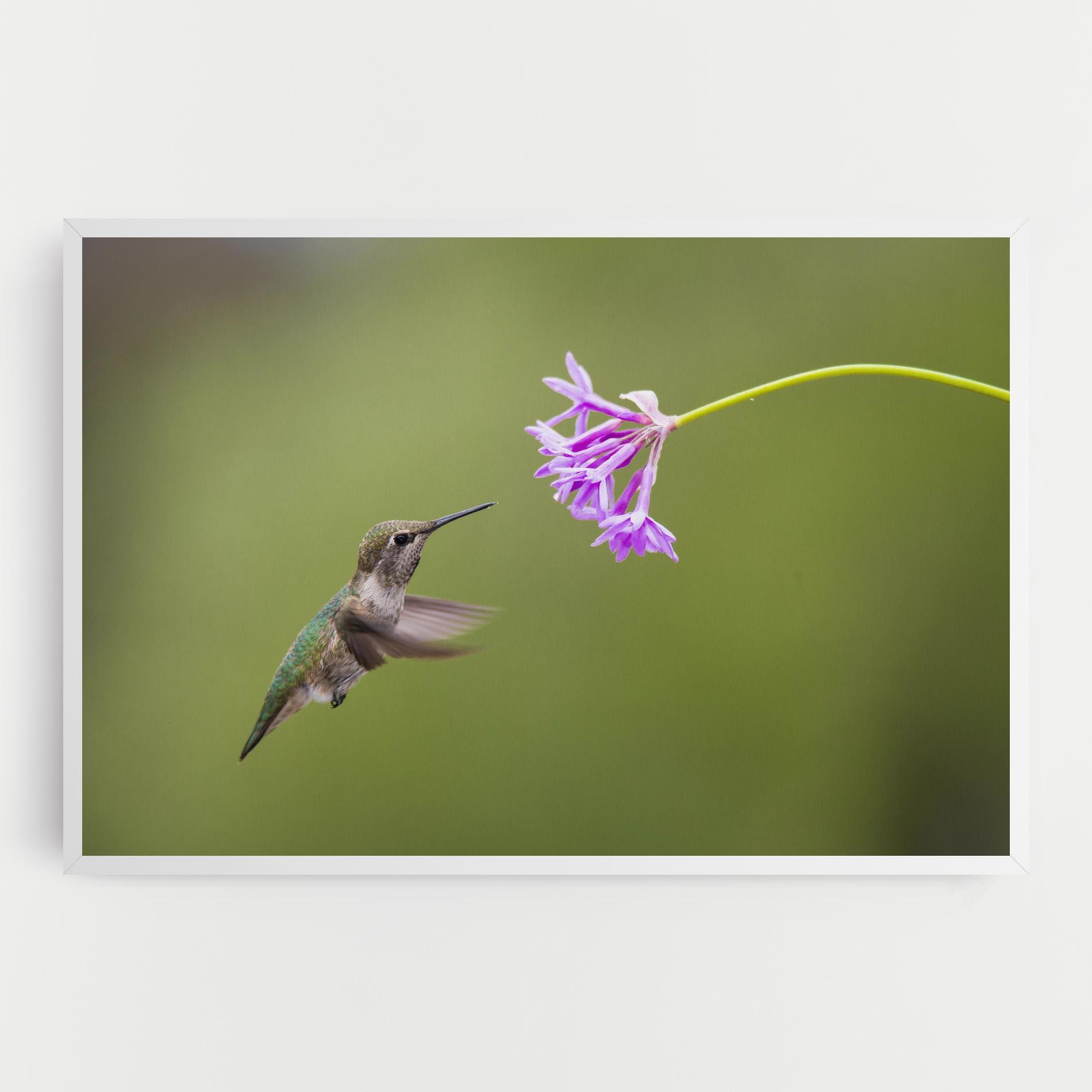 Tablou Canvas Cute Hummingbird mockup 0