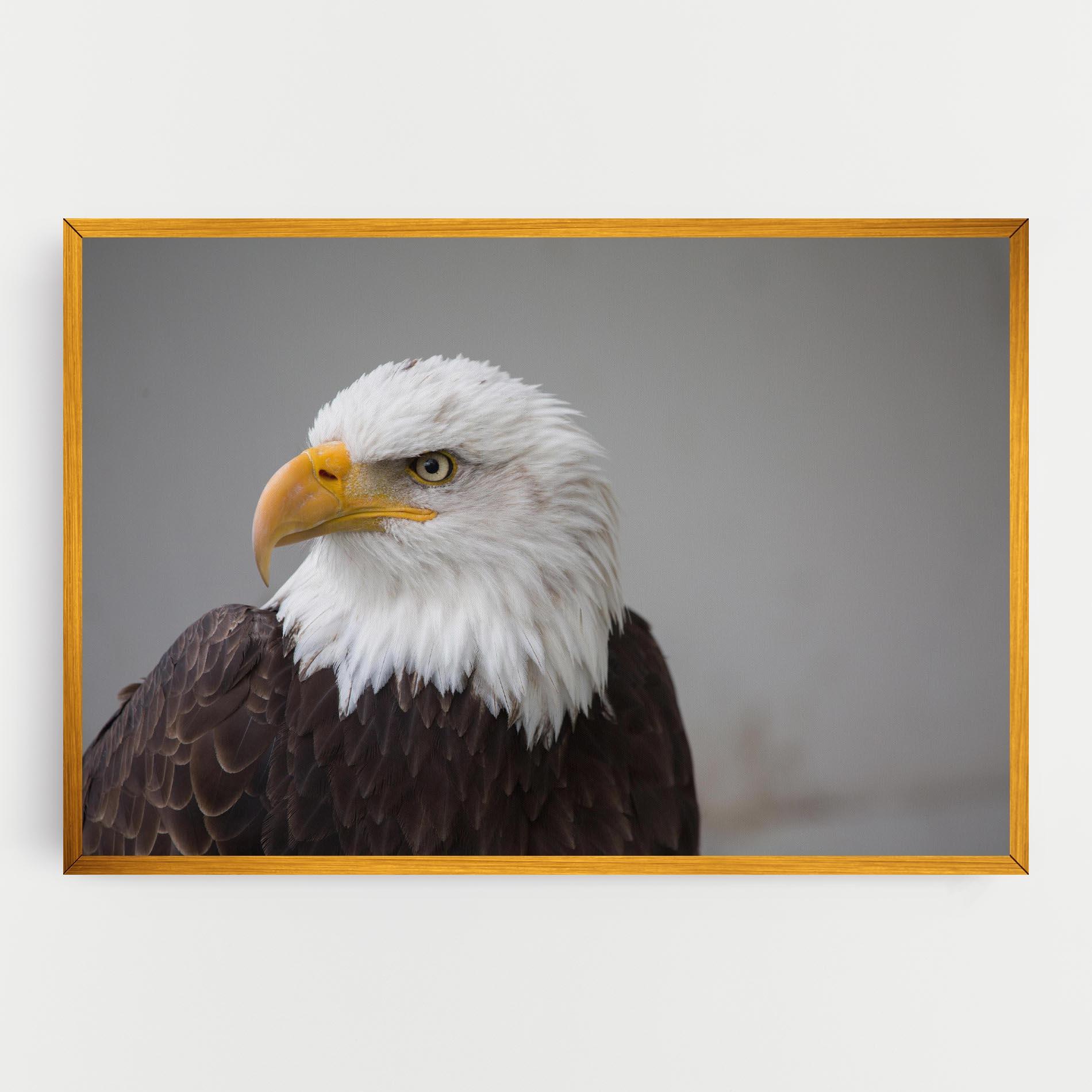 Tablou Canvas Beautiful Eagle mockup 0