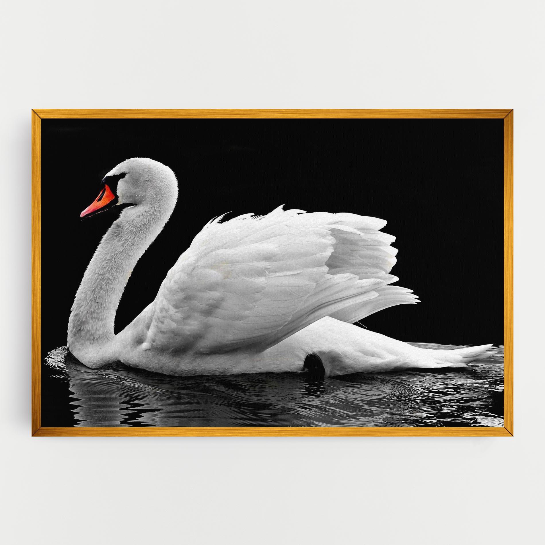Tablou Canvas Black And White Swan mockup 0