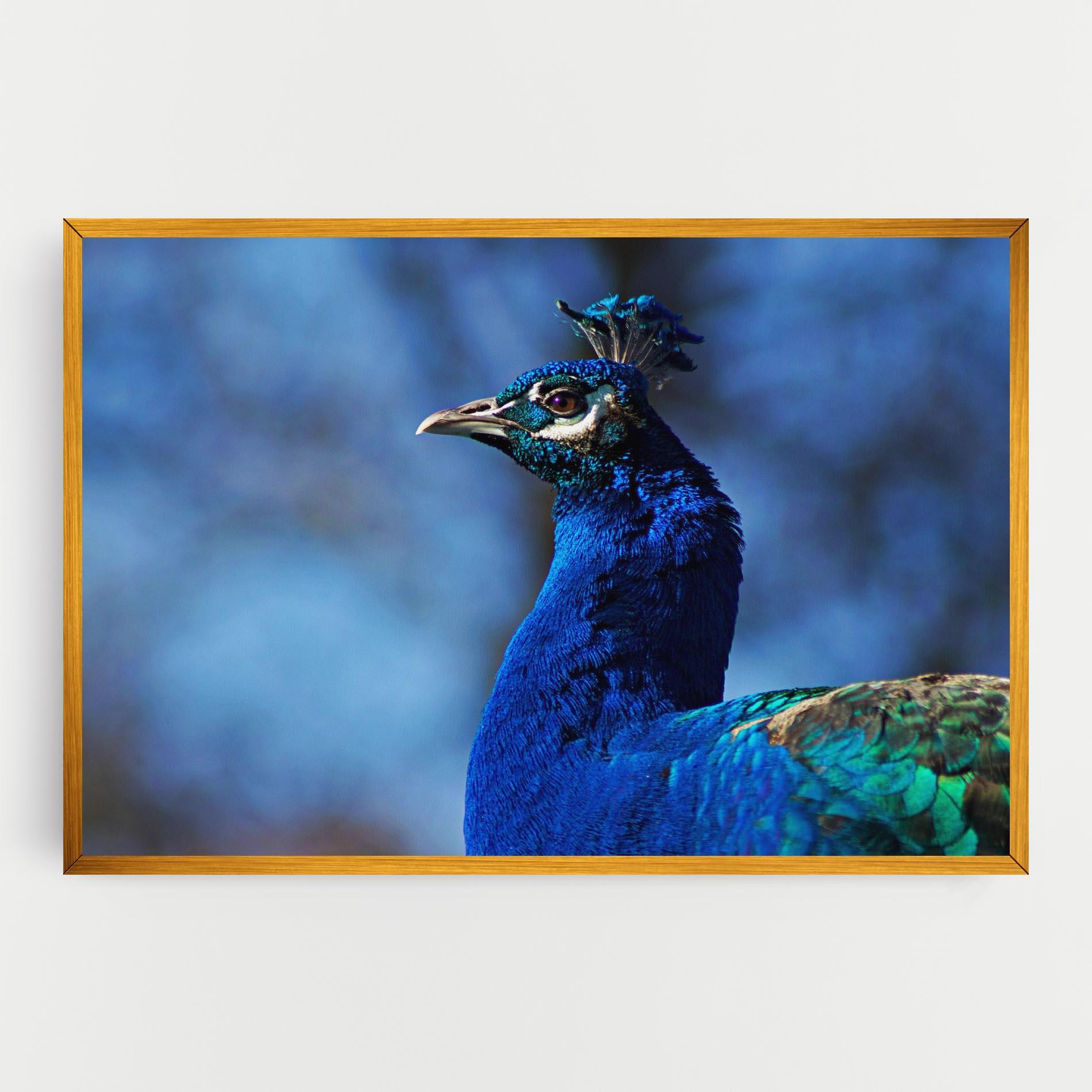 Tablou Canvas Blue Bird mockup 0
