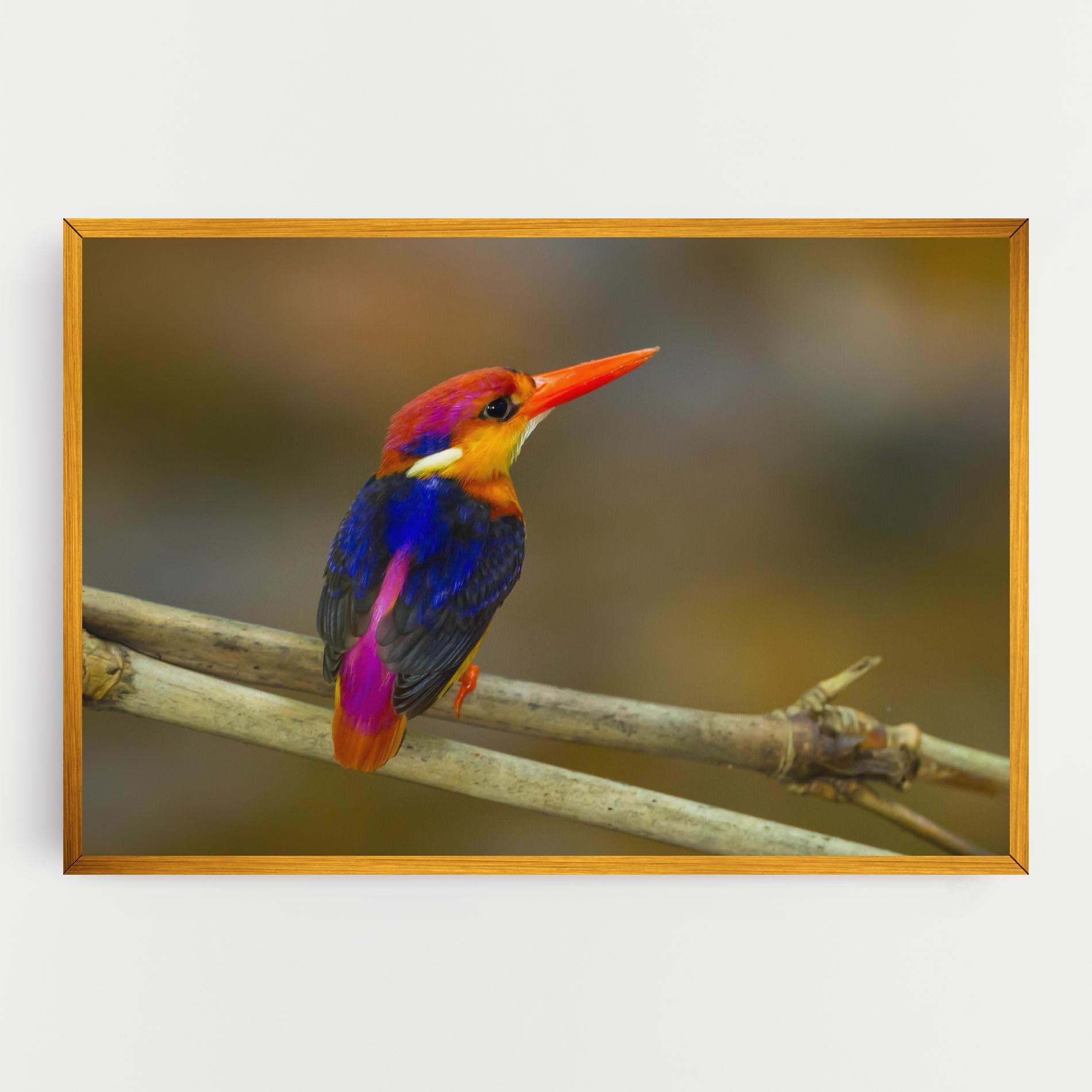 Tablou Canvas Colorful Bird mockup 0
