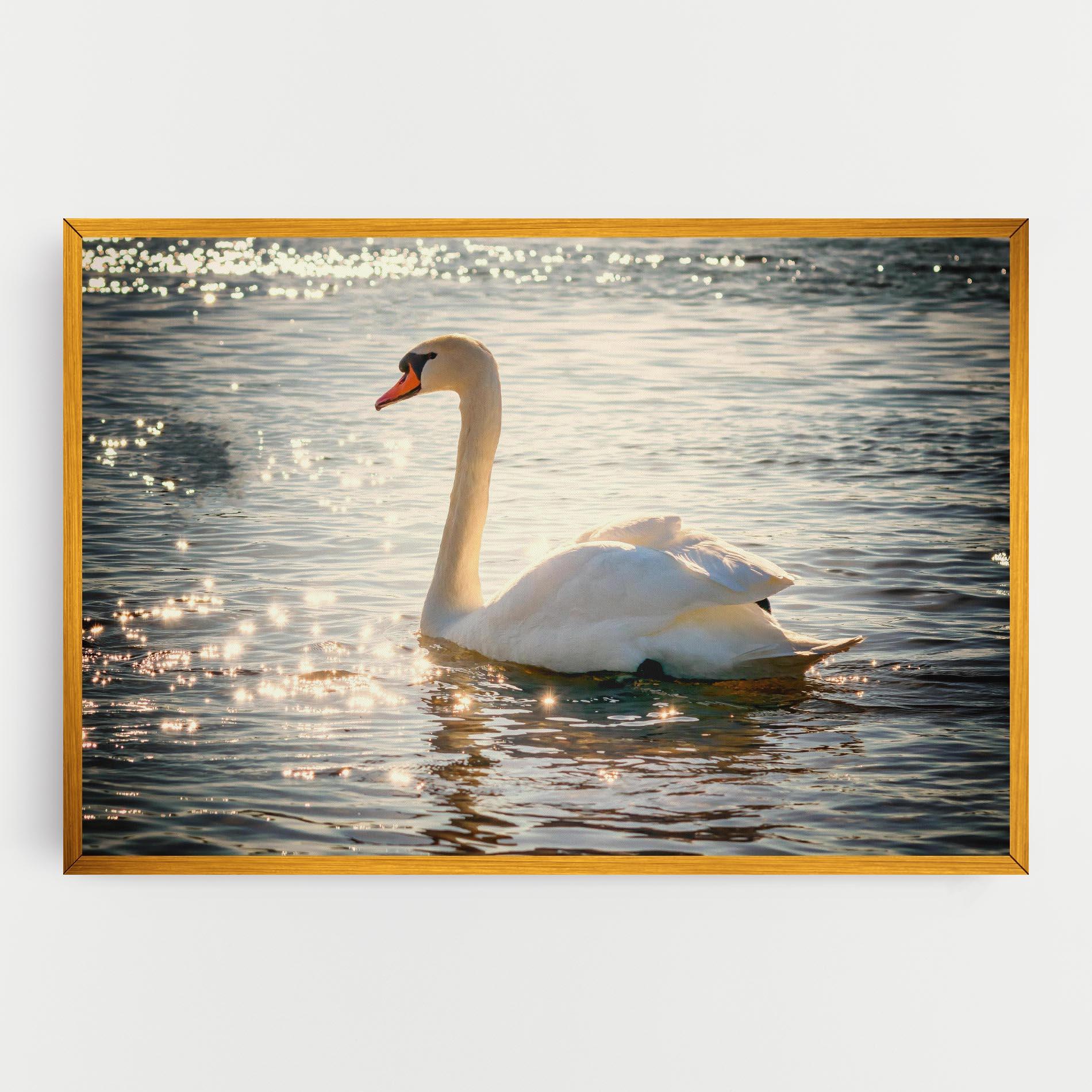 Tablou Canvas Swan On Lake mockup 0