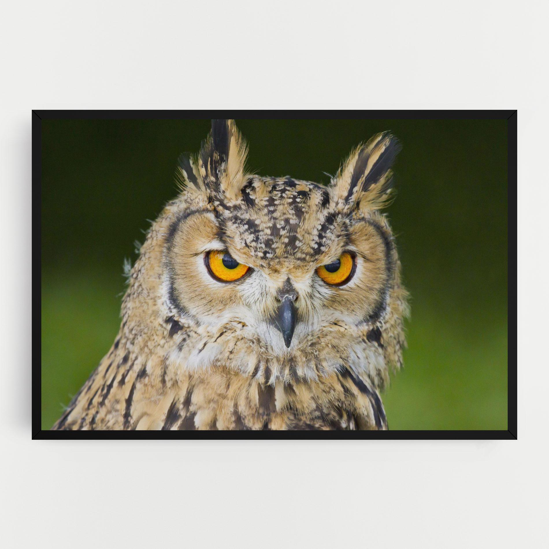 Tablou Canvas Angry Owl mockup 0